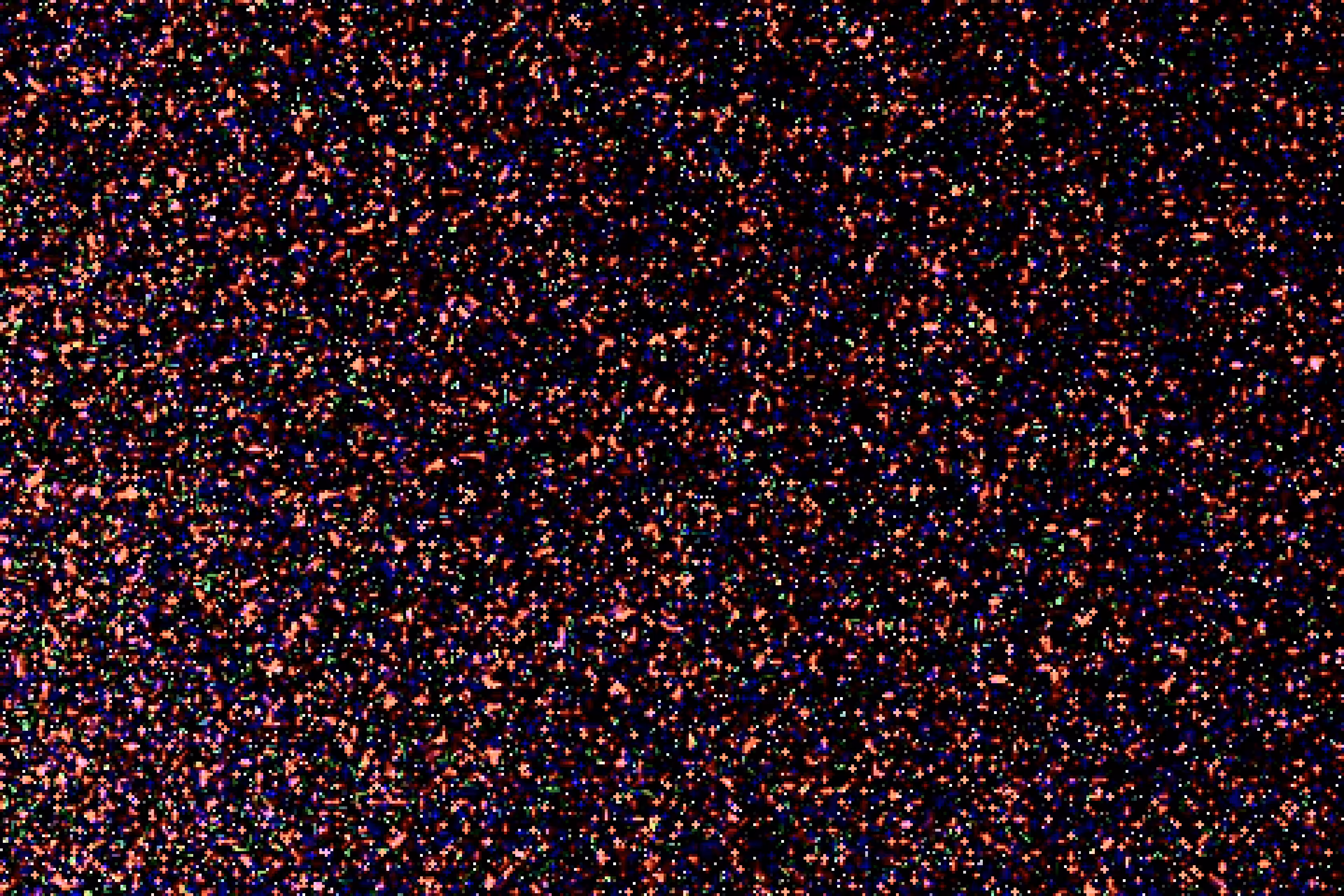 Interpolation CRW_3705
