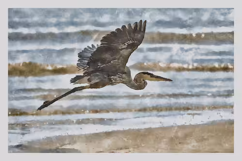 Watercolored Photography: Watercolored 059