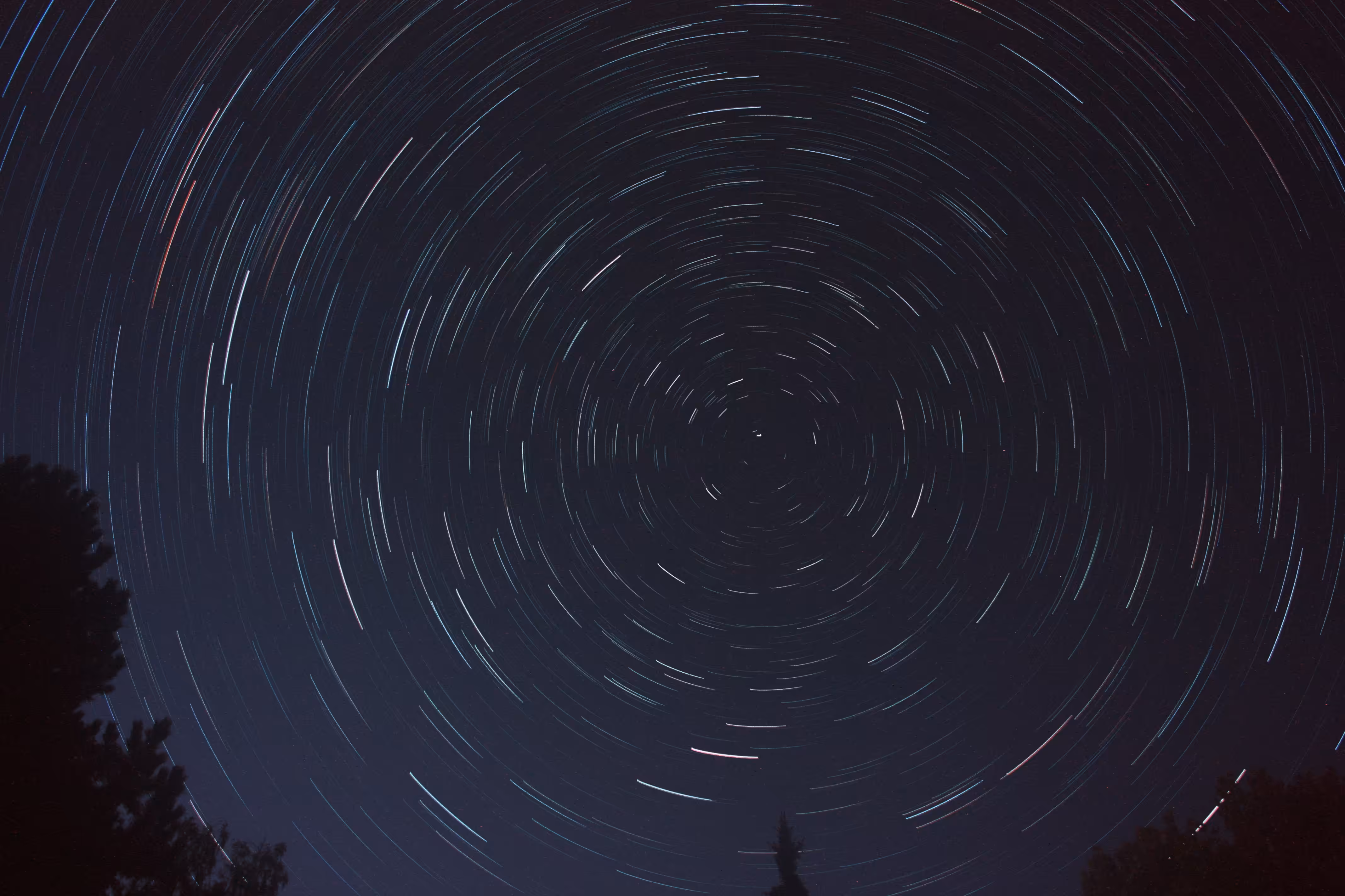 Vortex