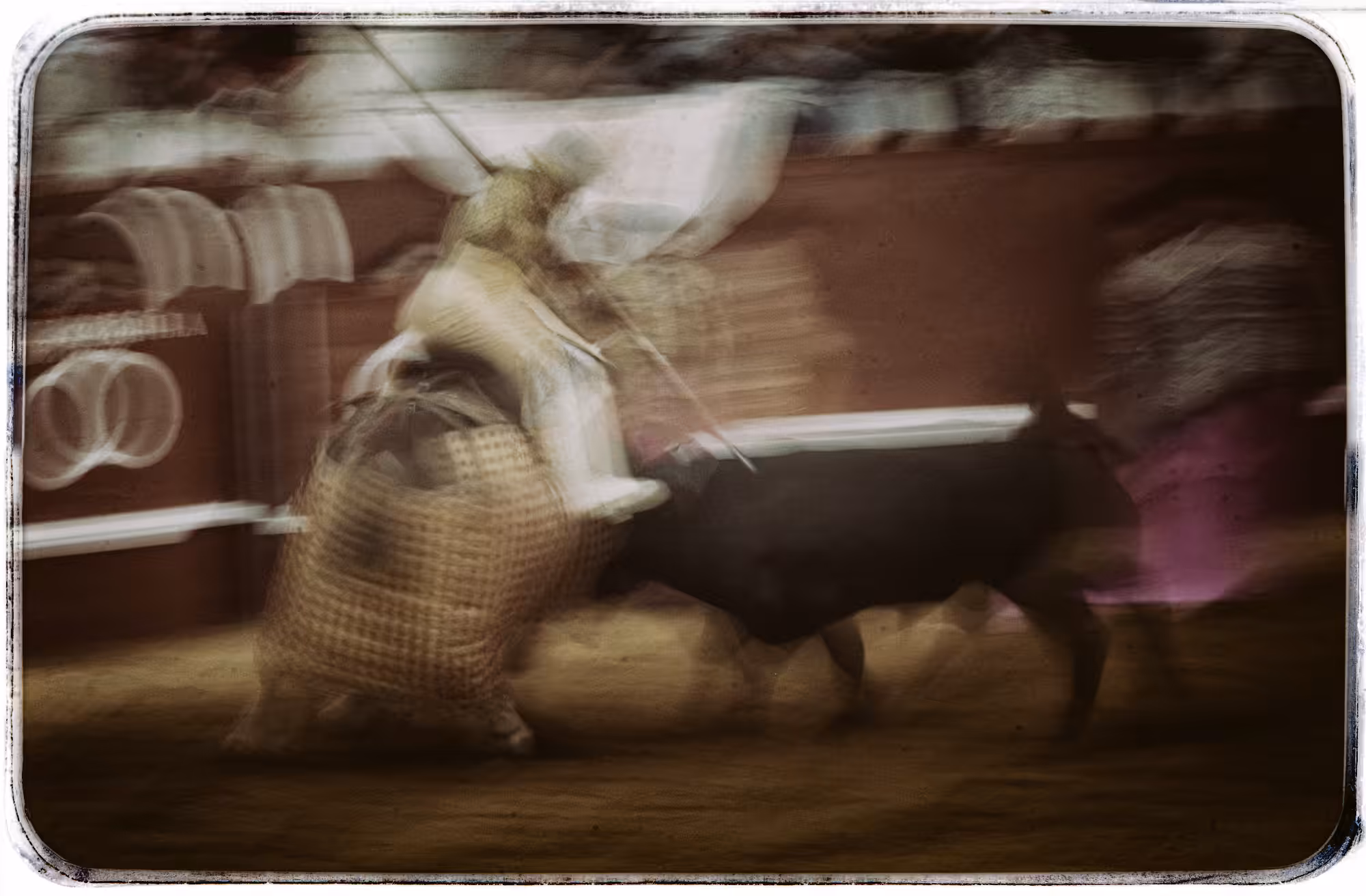 compendium: The heartbeat of the bullring
