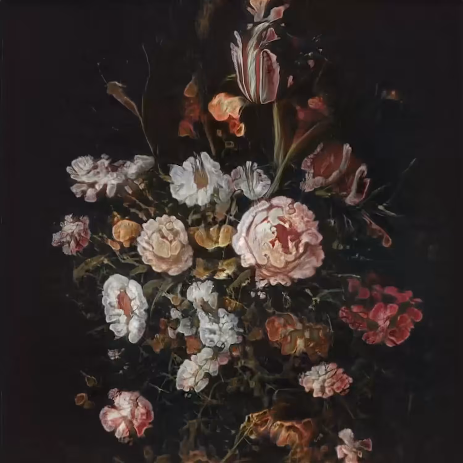SEED THREE (xxix)