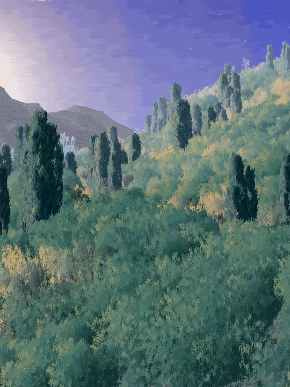 Provence #475