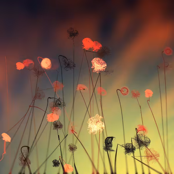 Cottongrass #9