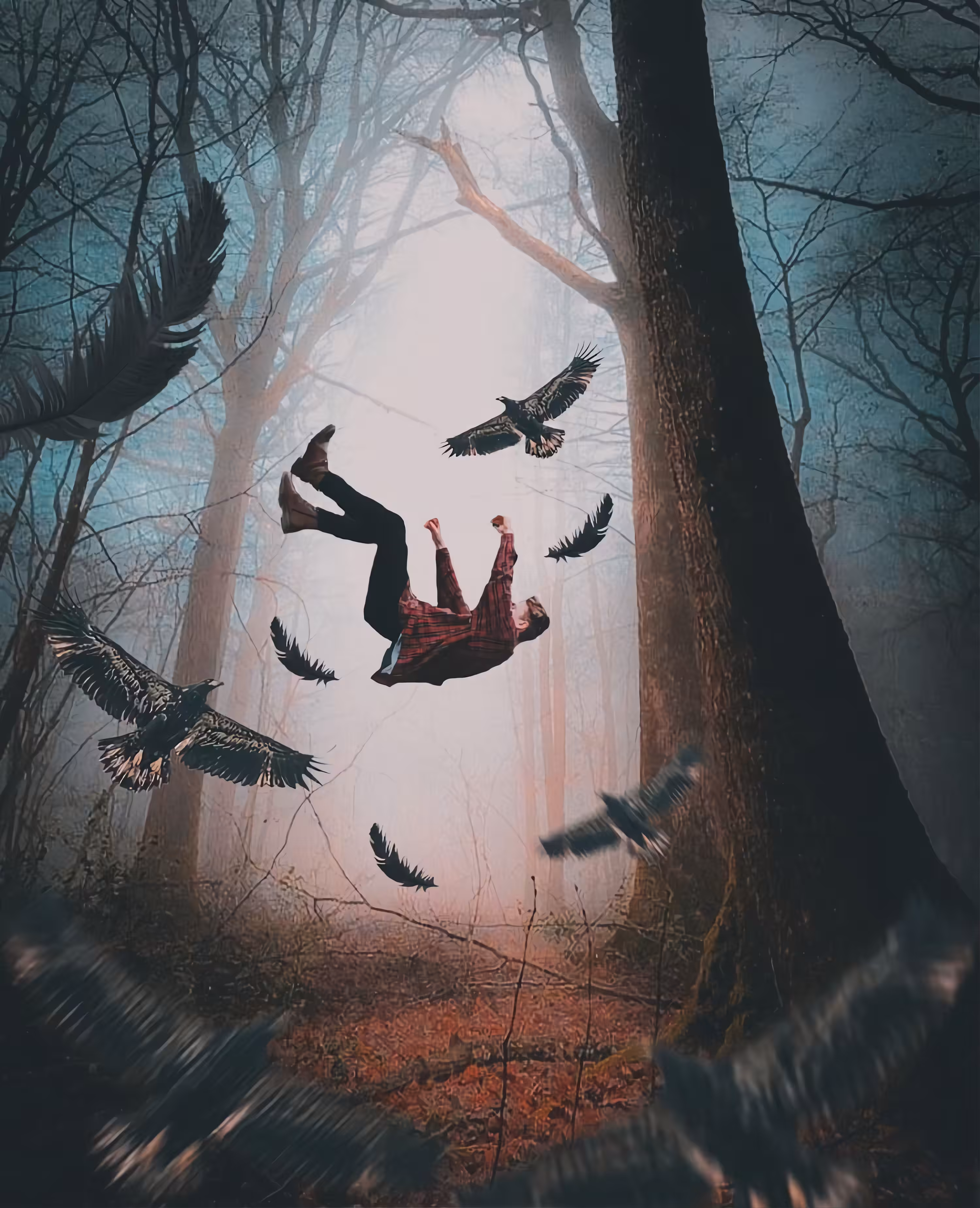 Fall From A Dream