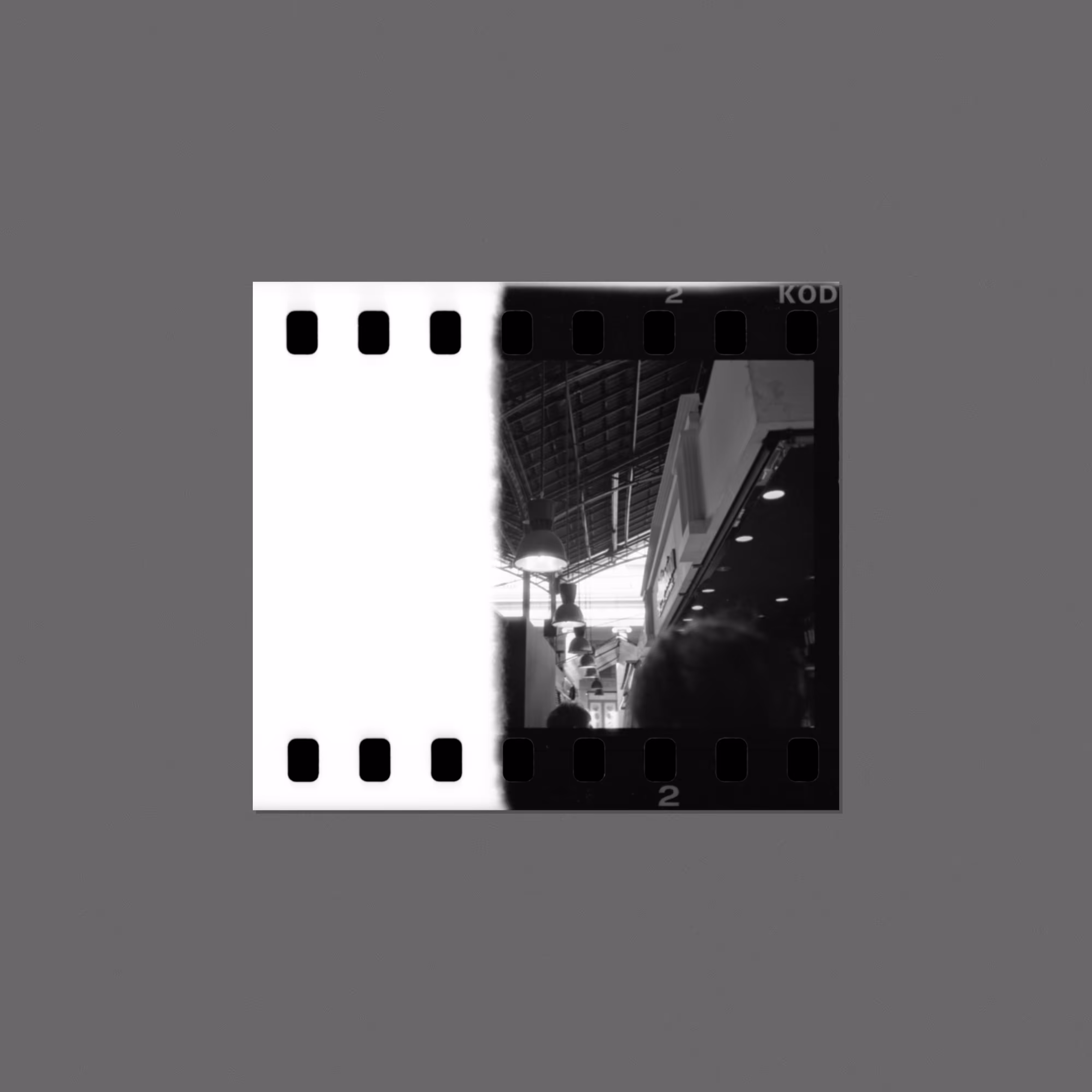 Forgottez #026
