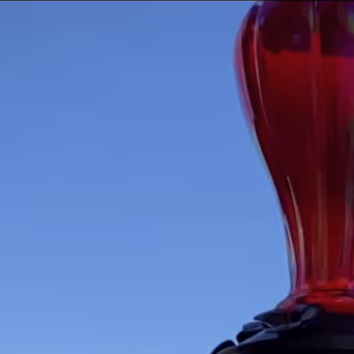 Sweet Nectar