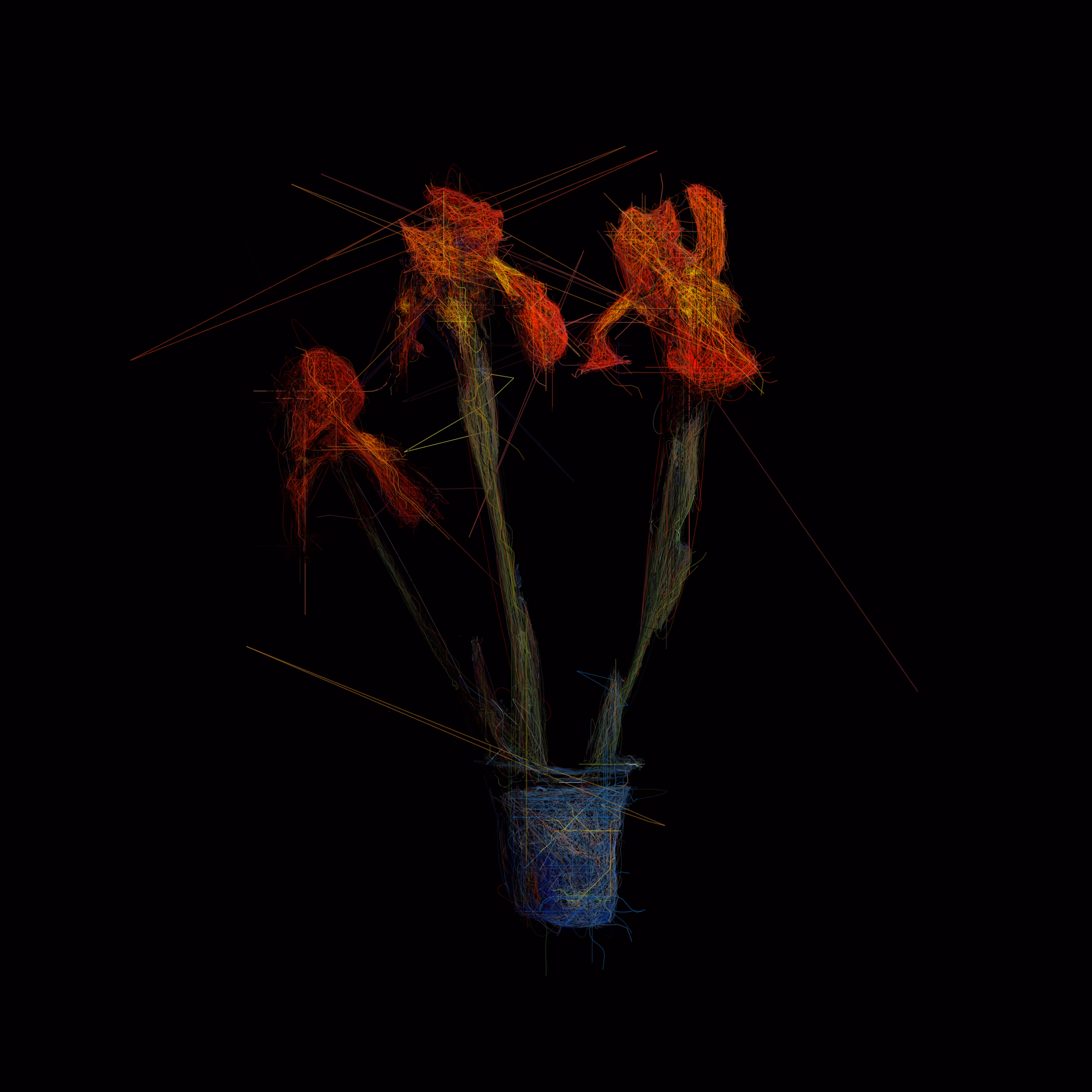 Three Orange Irises I