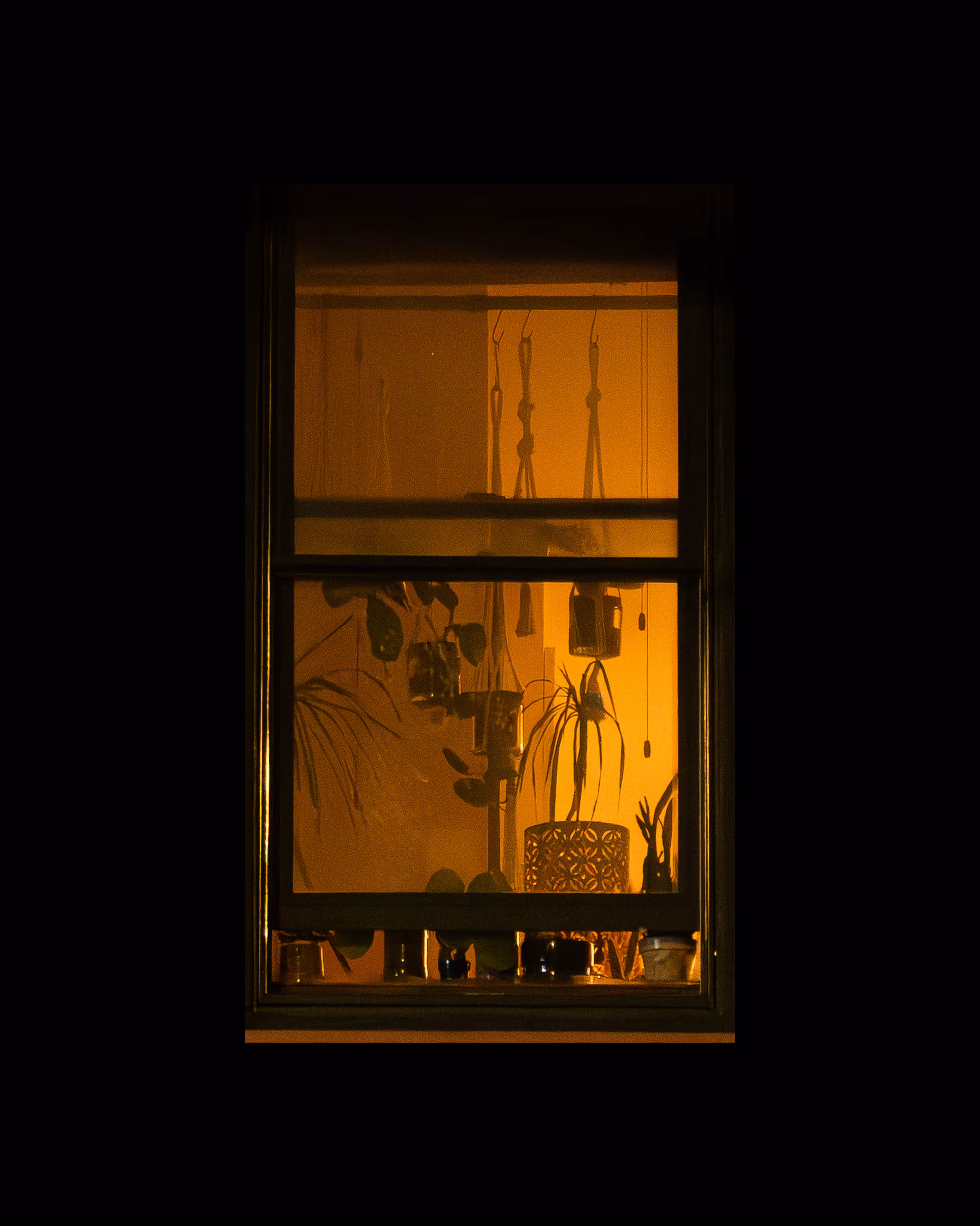 WINDOWS // NYC
