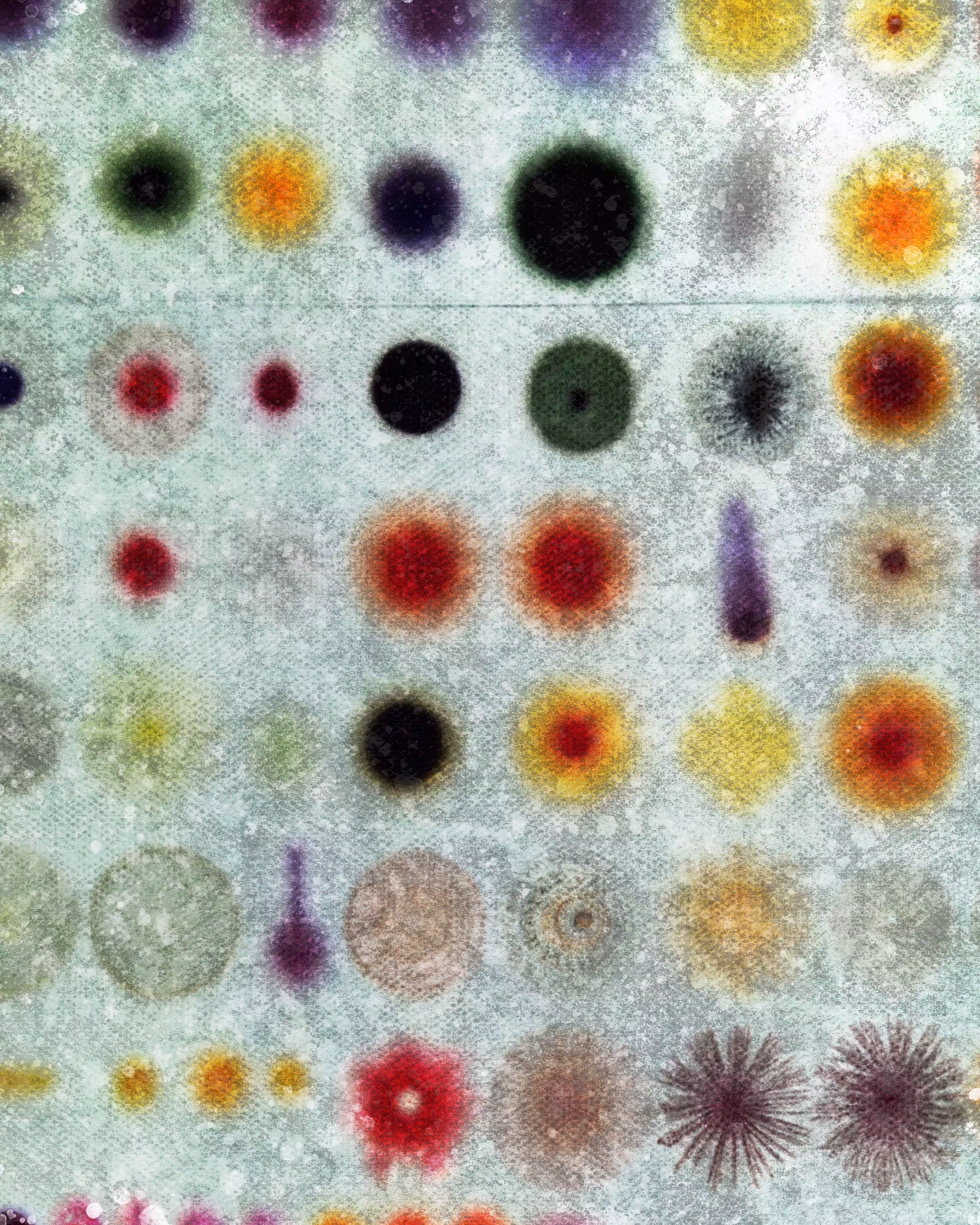 The Cell