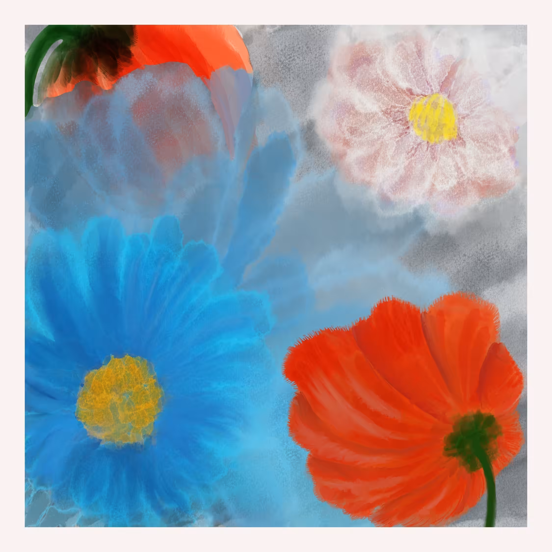 Field of Colours