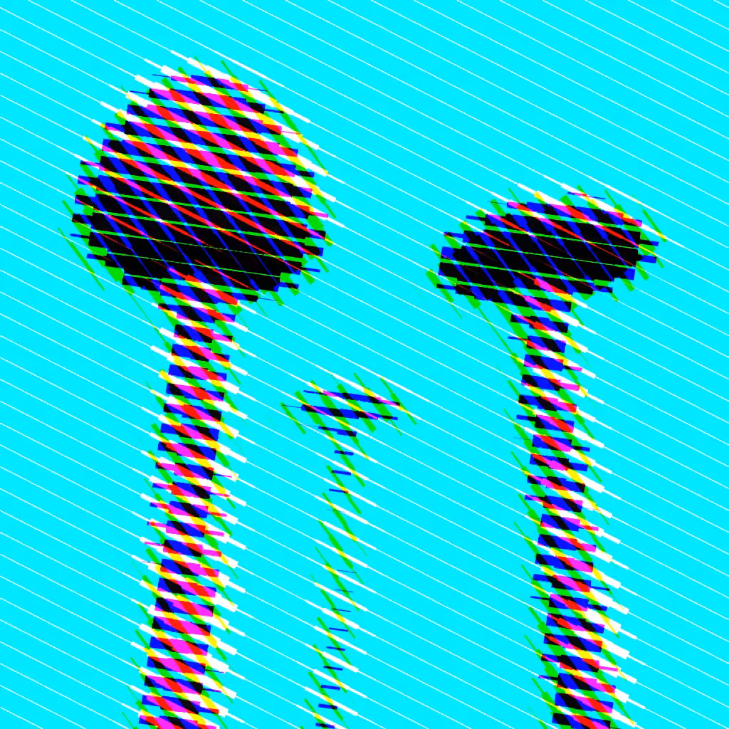Psilocybe Azurescens #17