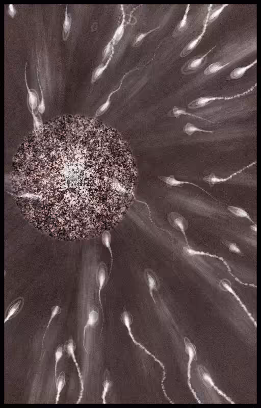 Crescendo #7