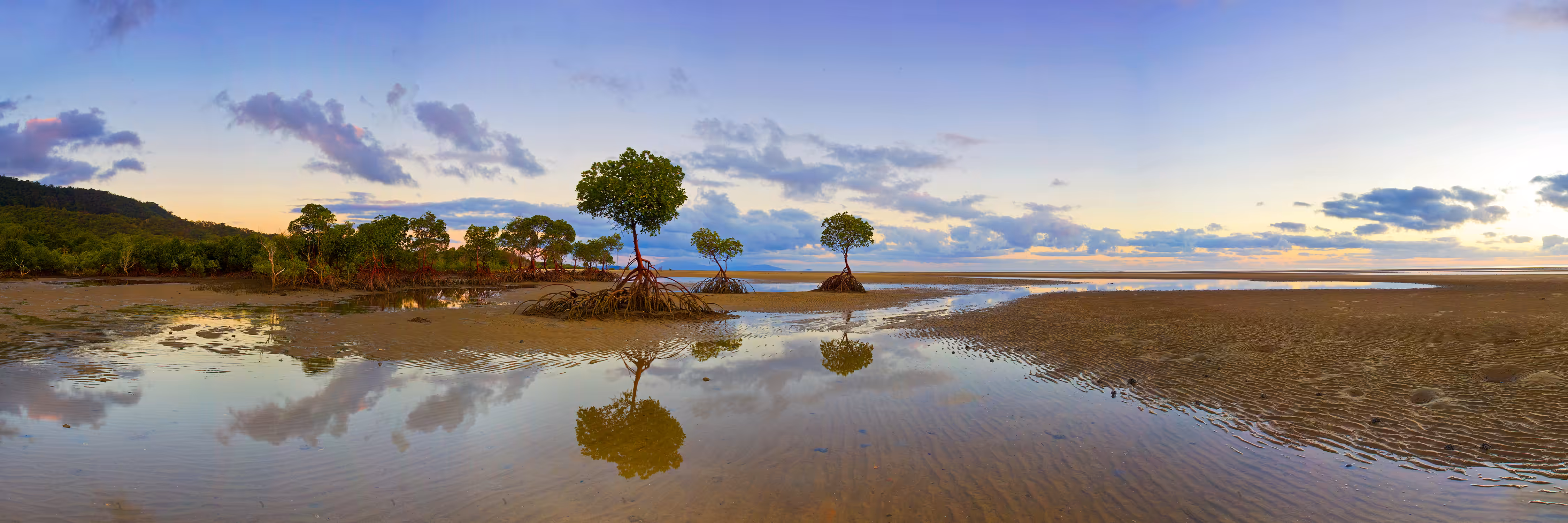 Dawn of Tides