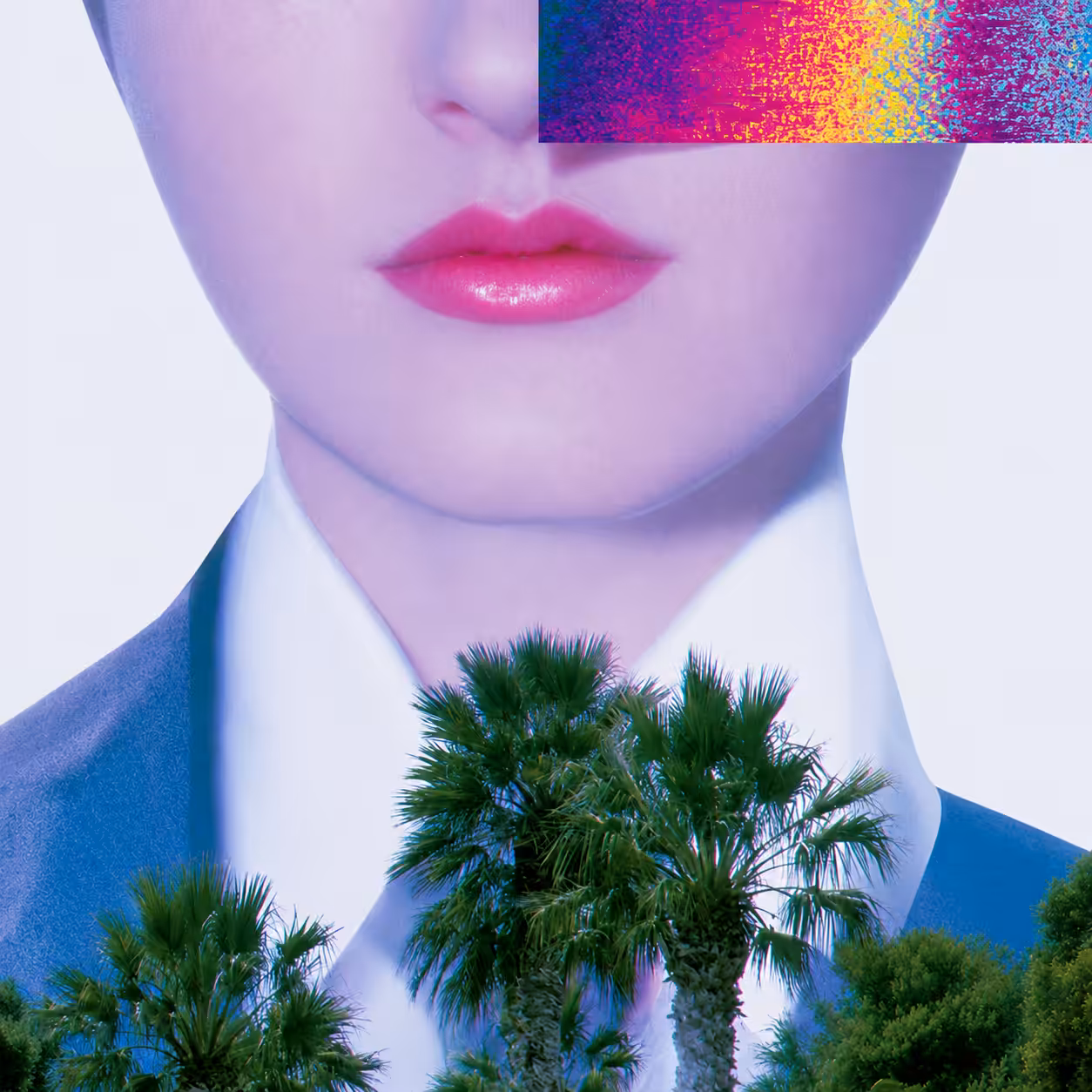 Palms 