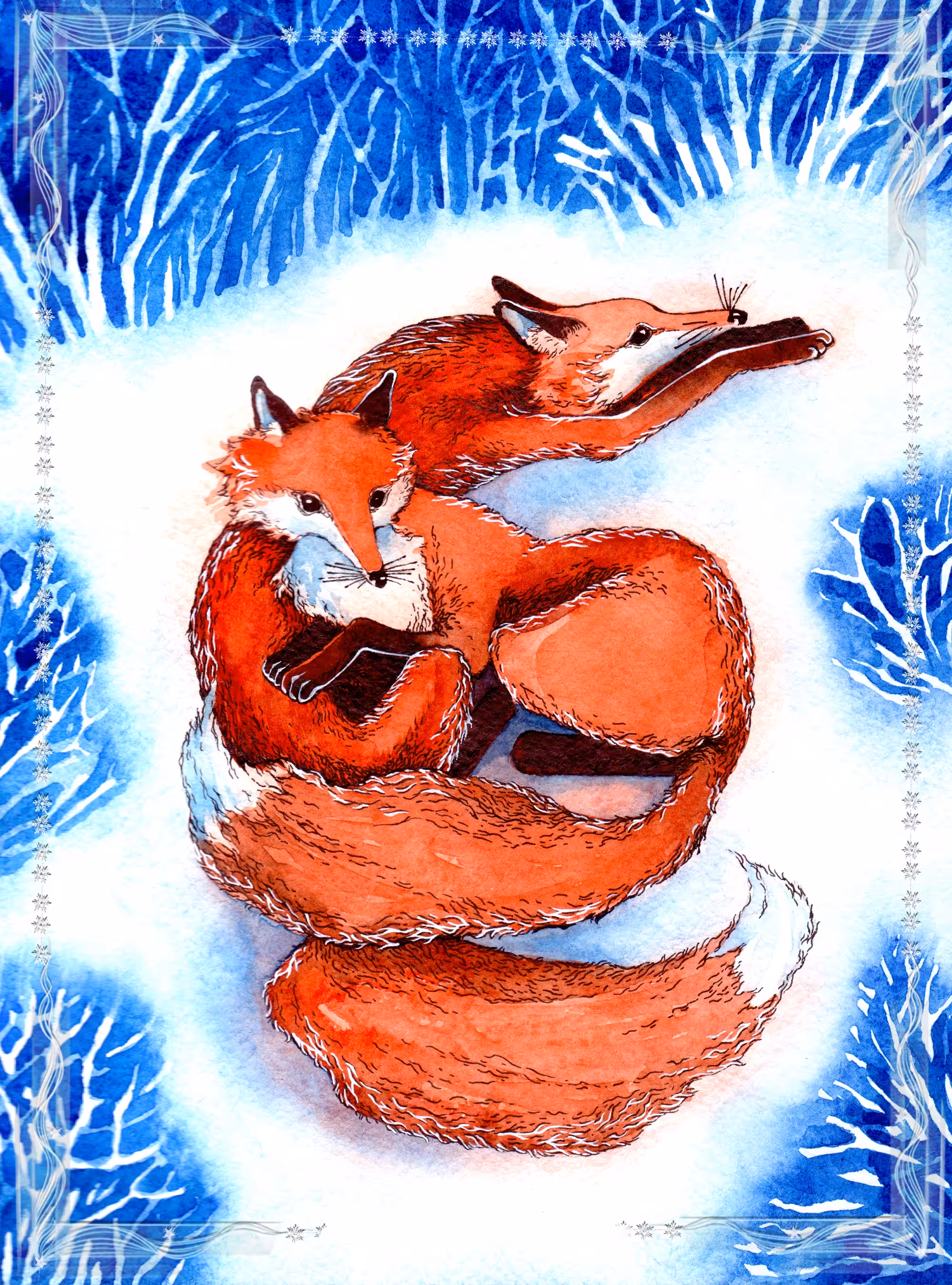 Foxes