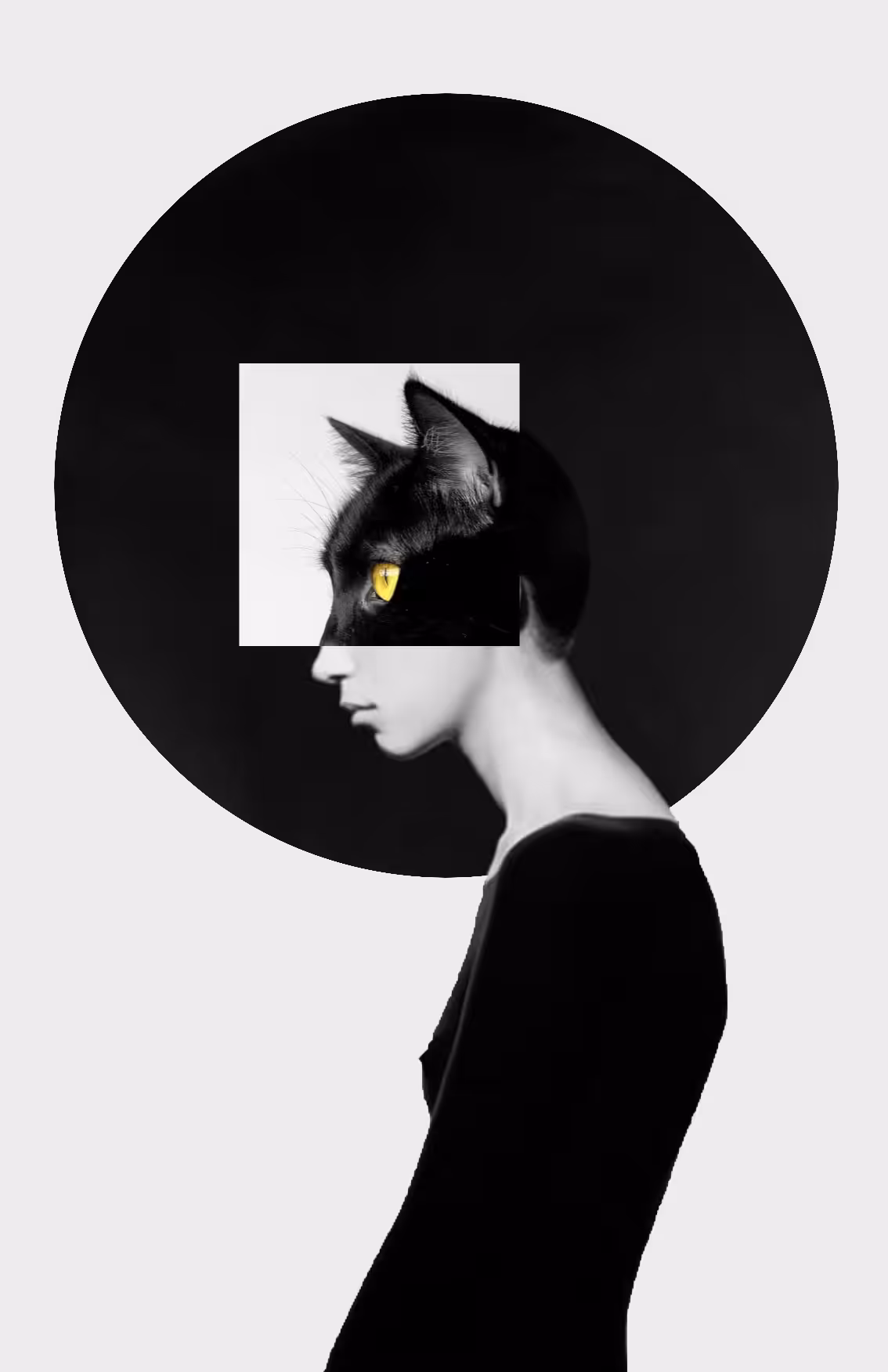 Persona: The Veiled Gaze