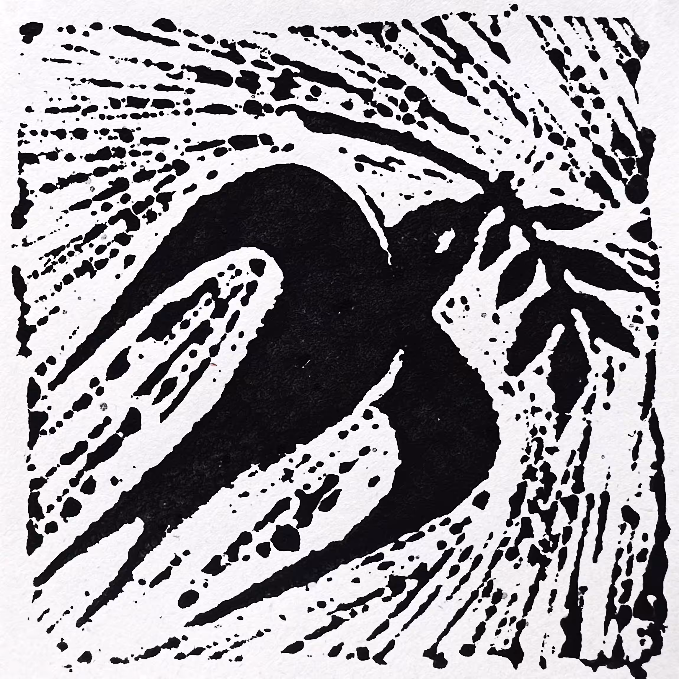 Silver in the Shadow of the Cutter: Freedom