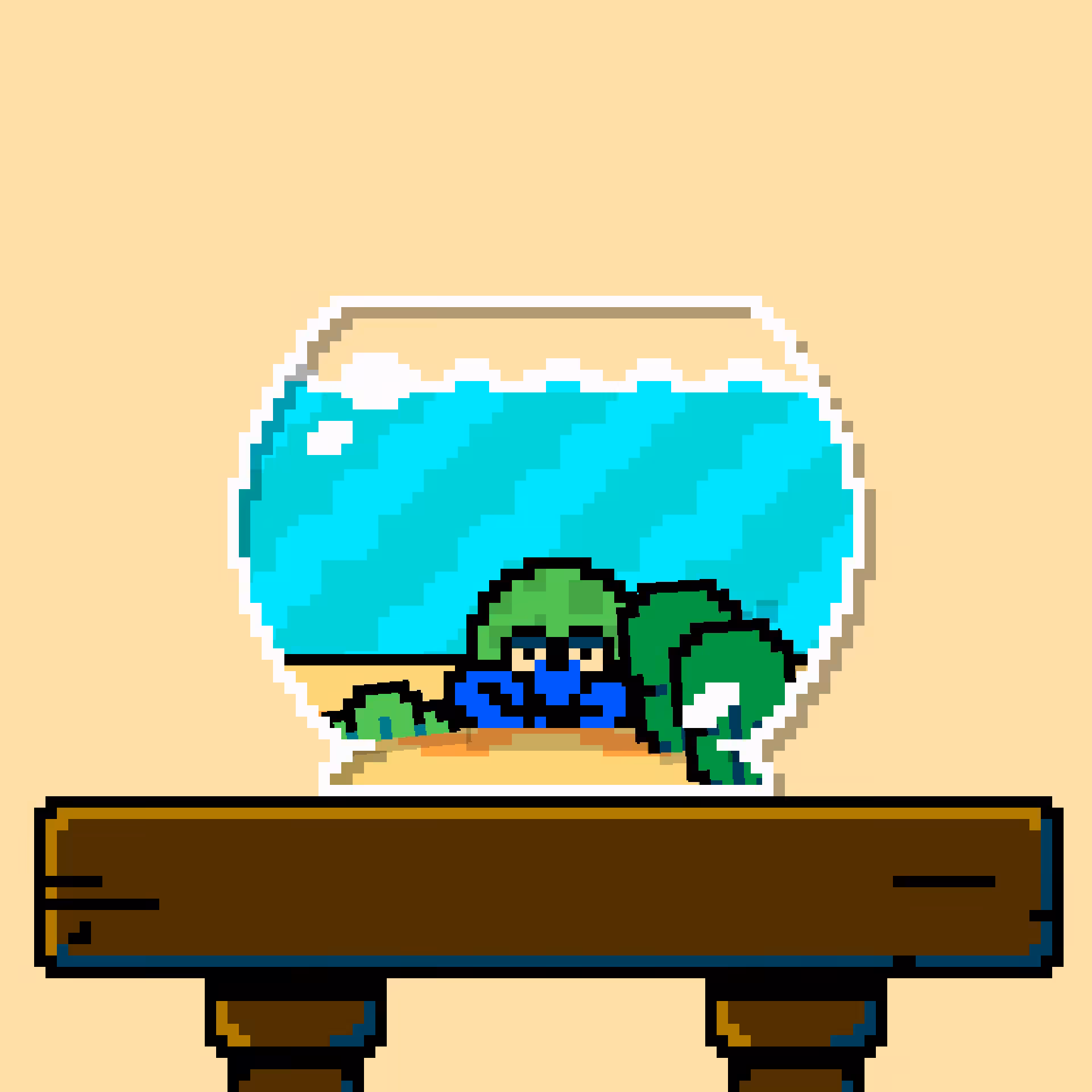 hermit crab #142