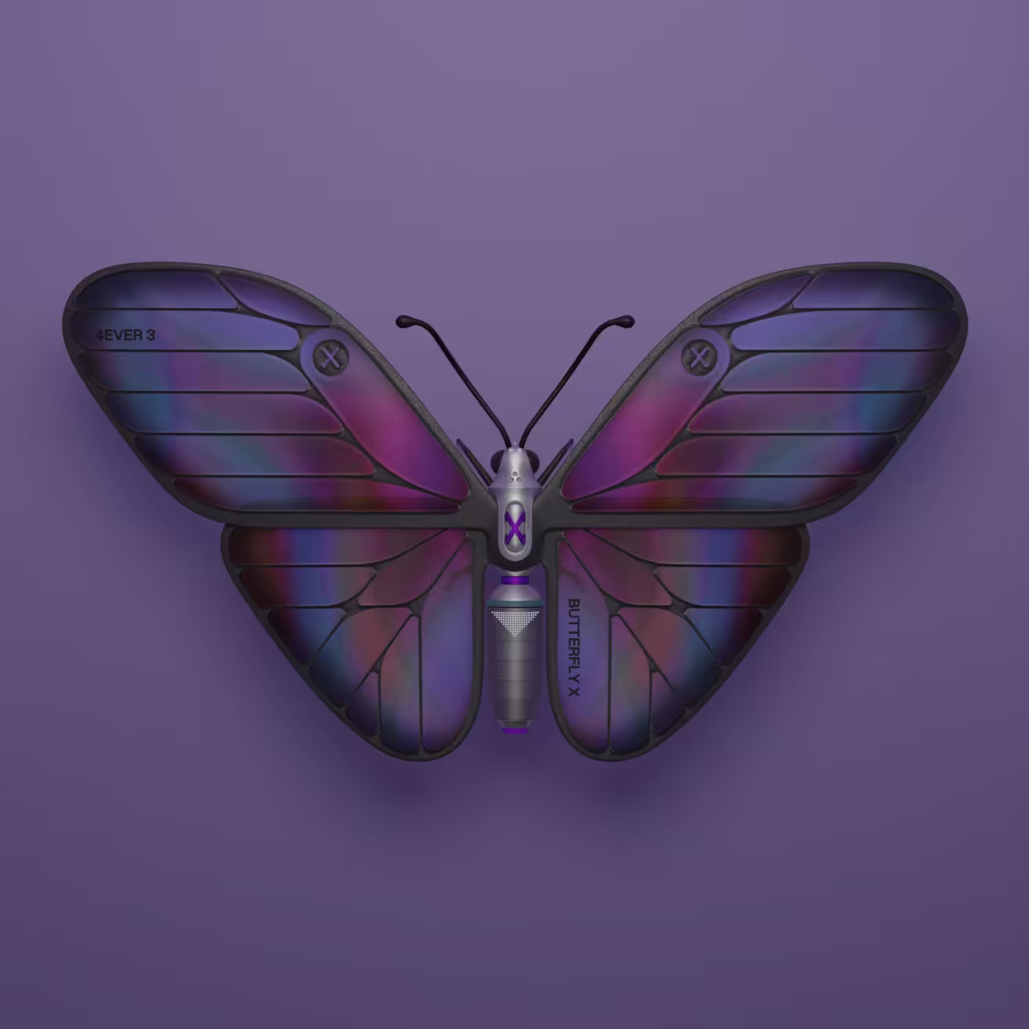 Cicada: Butterfly