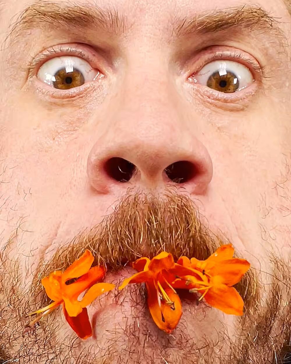 flower eater - Video Source