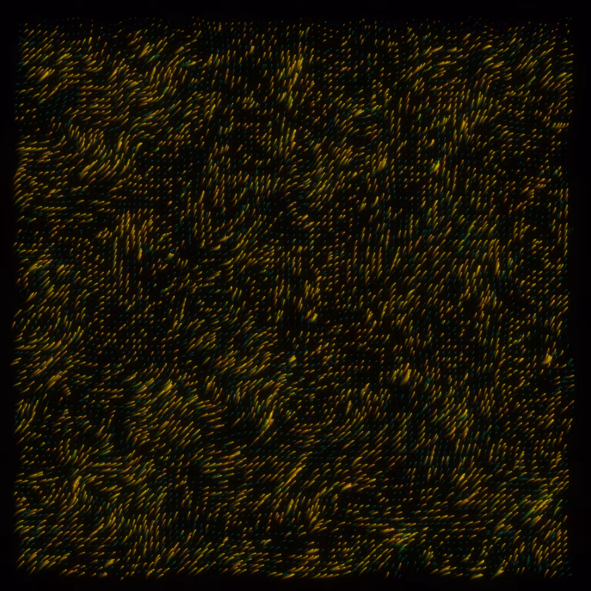 flow | meditations #769