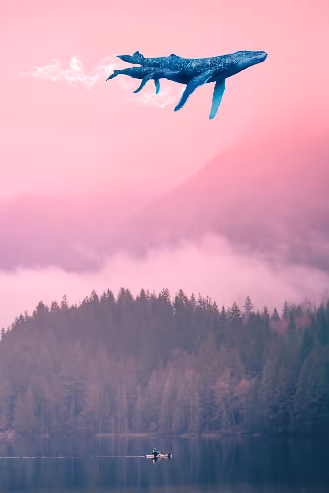 Spirit Whales