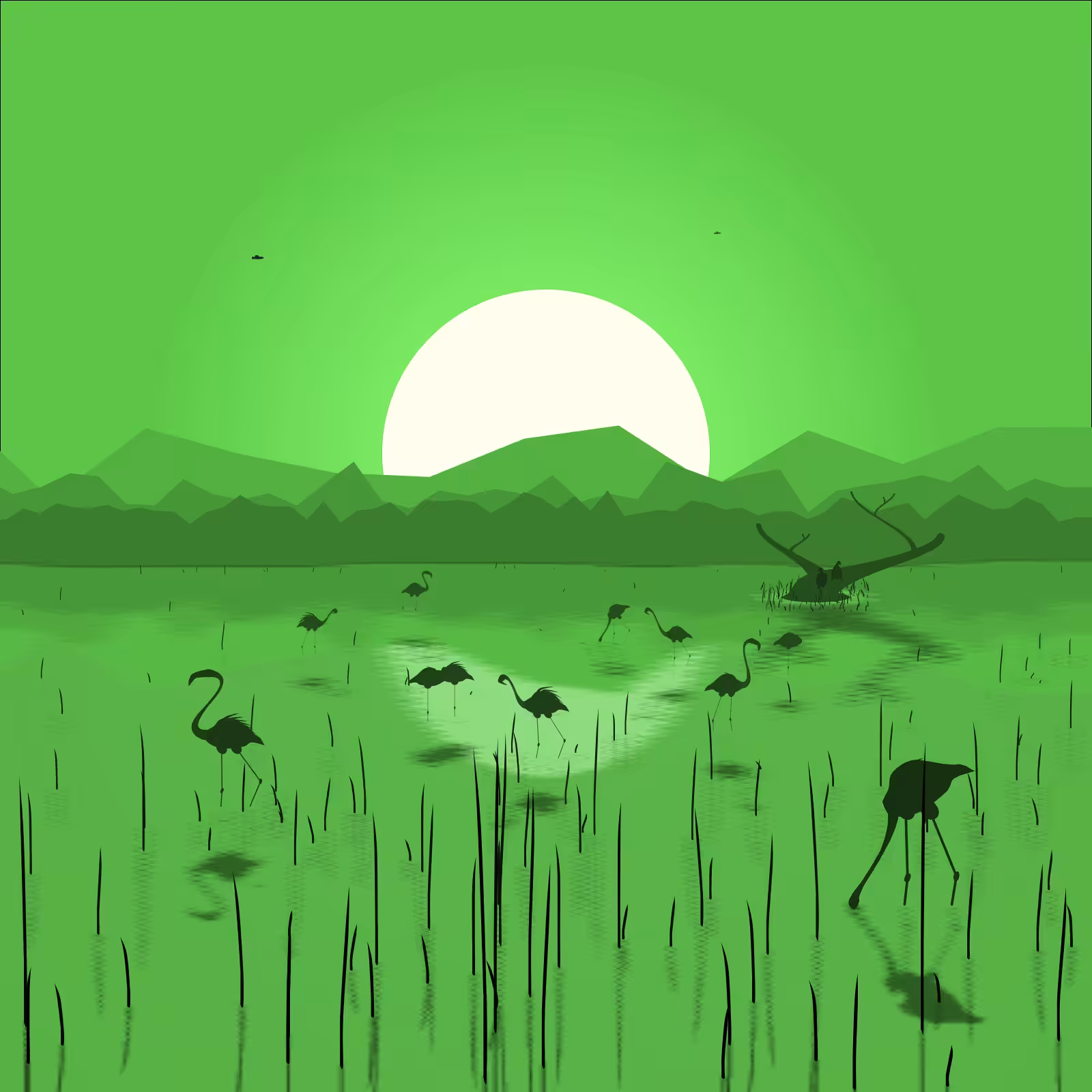 Flamingo Delta #28