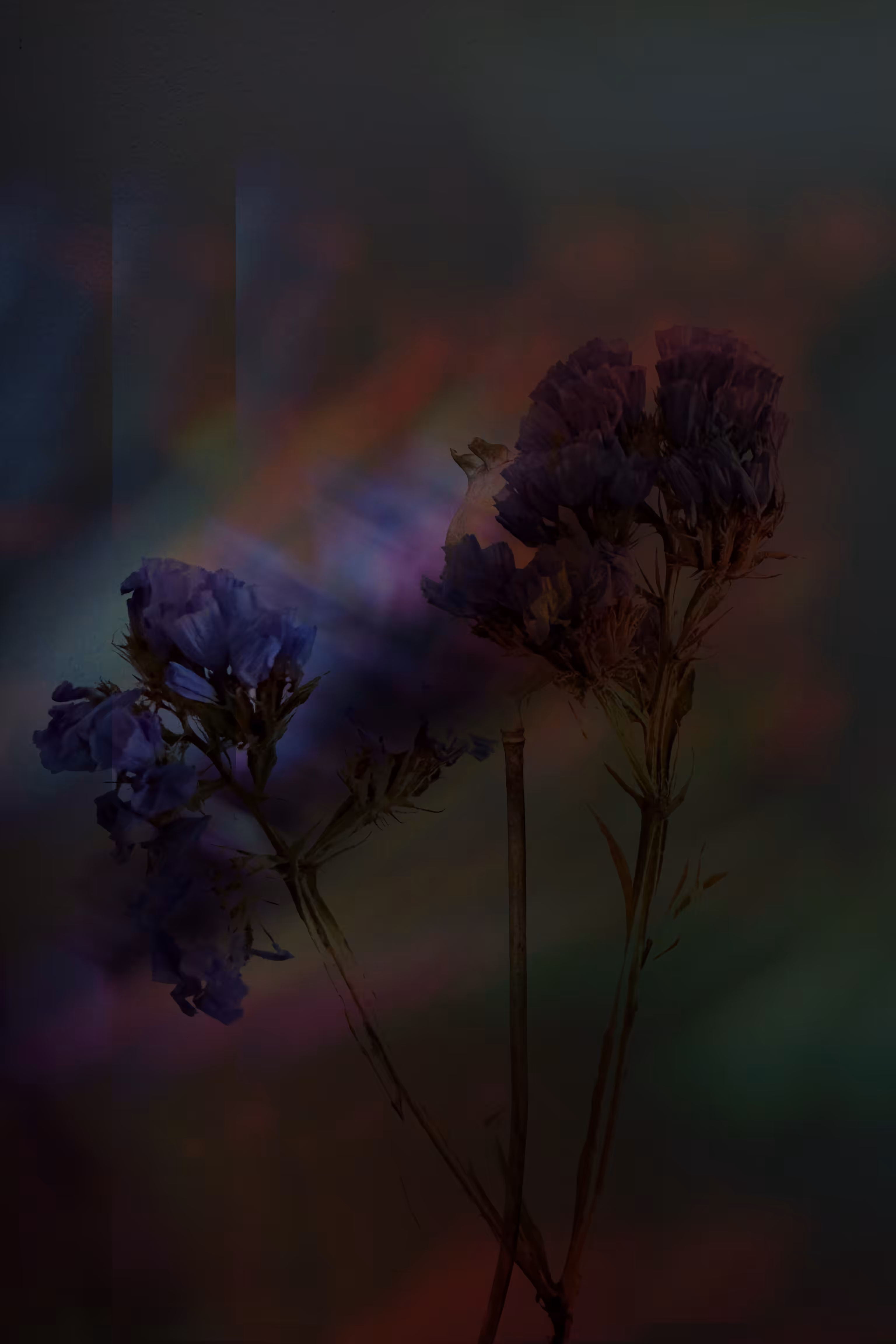 Haze of Dreams