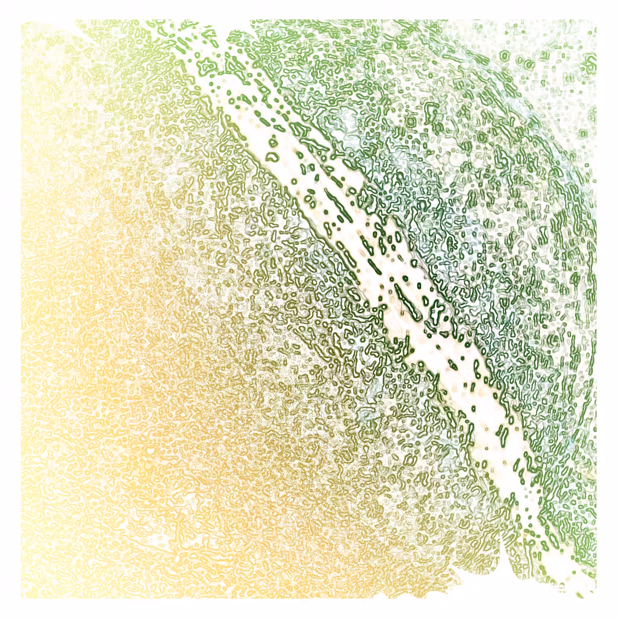 Cell 01