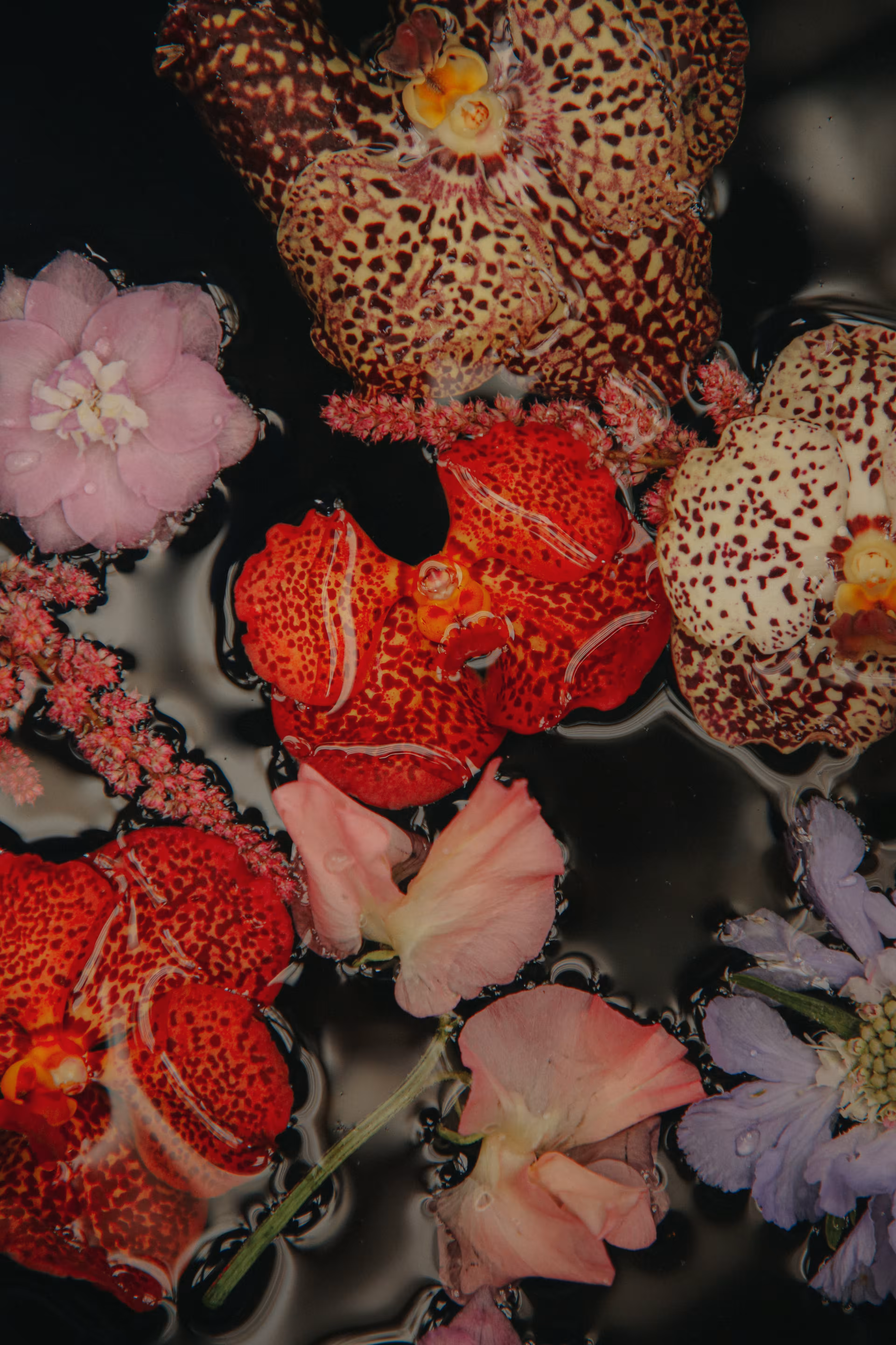 'Floral Kink' Token