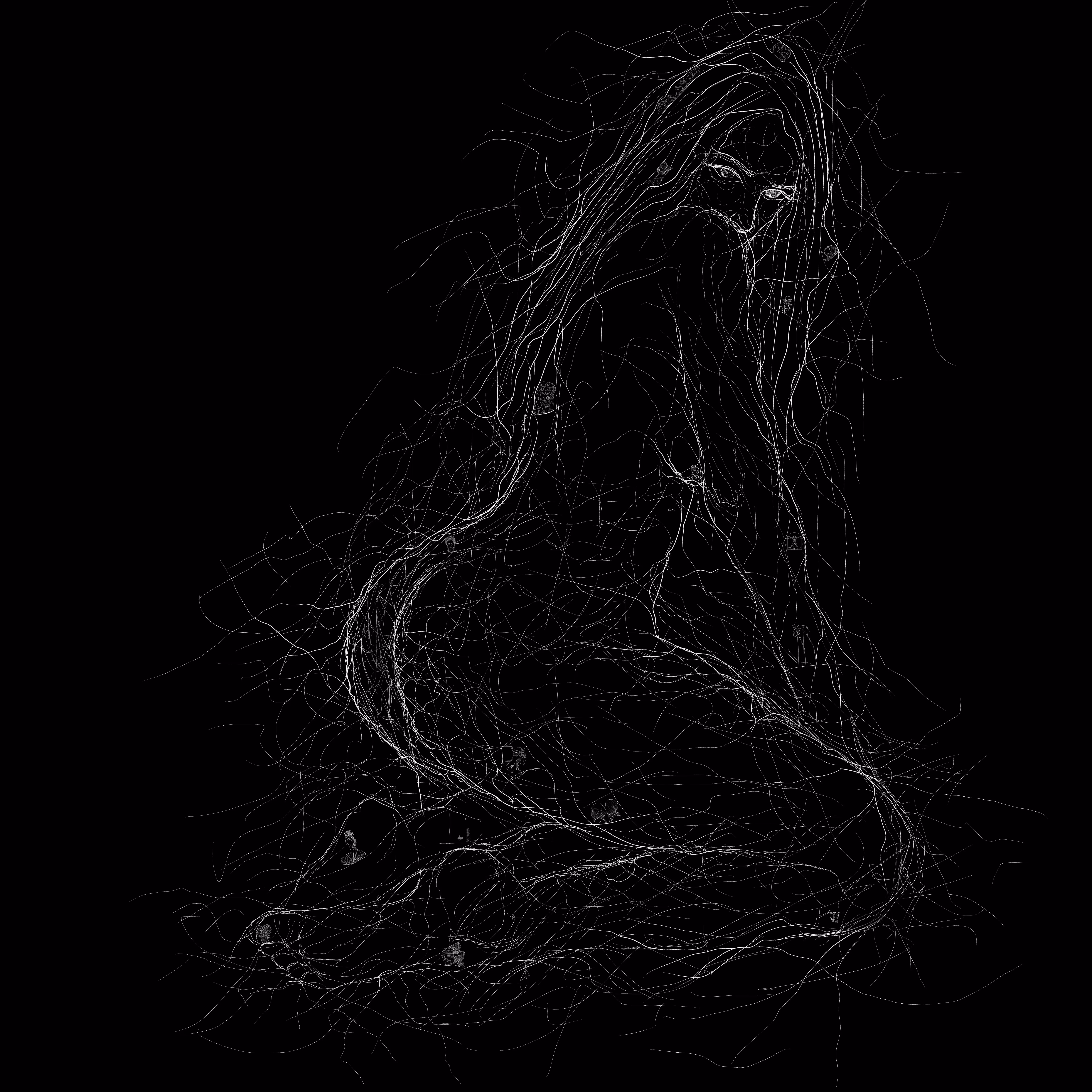 Hidden Lines