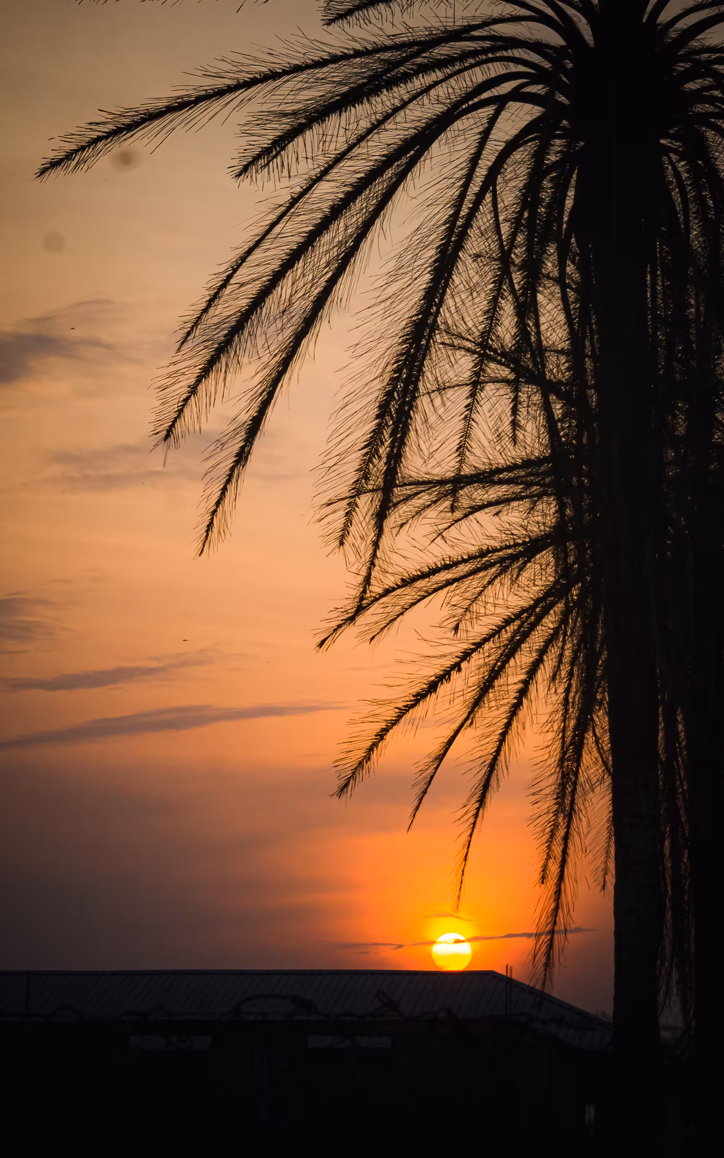 Chasing Sunset Vi
