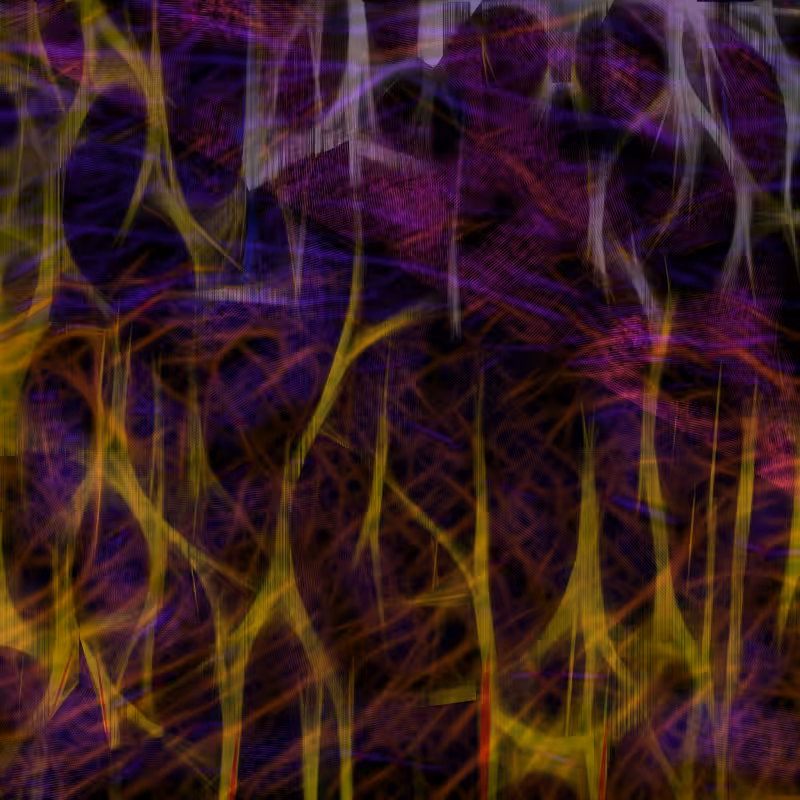 Roots of Light #2