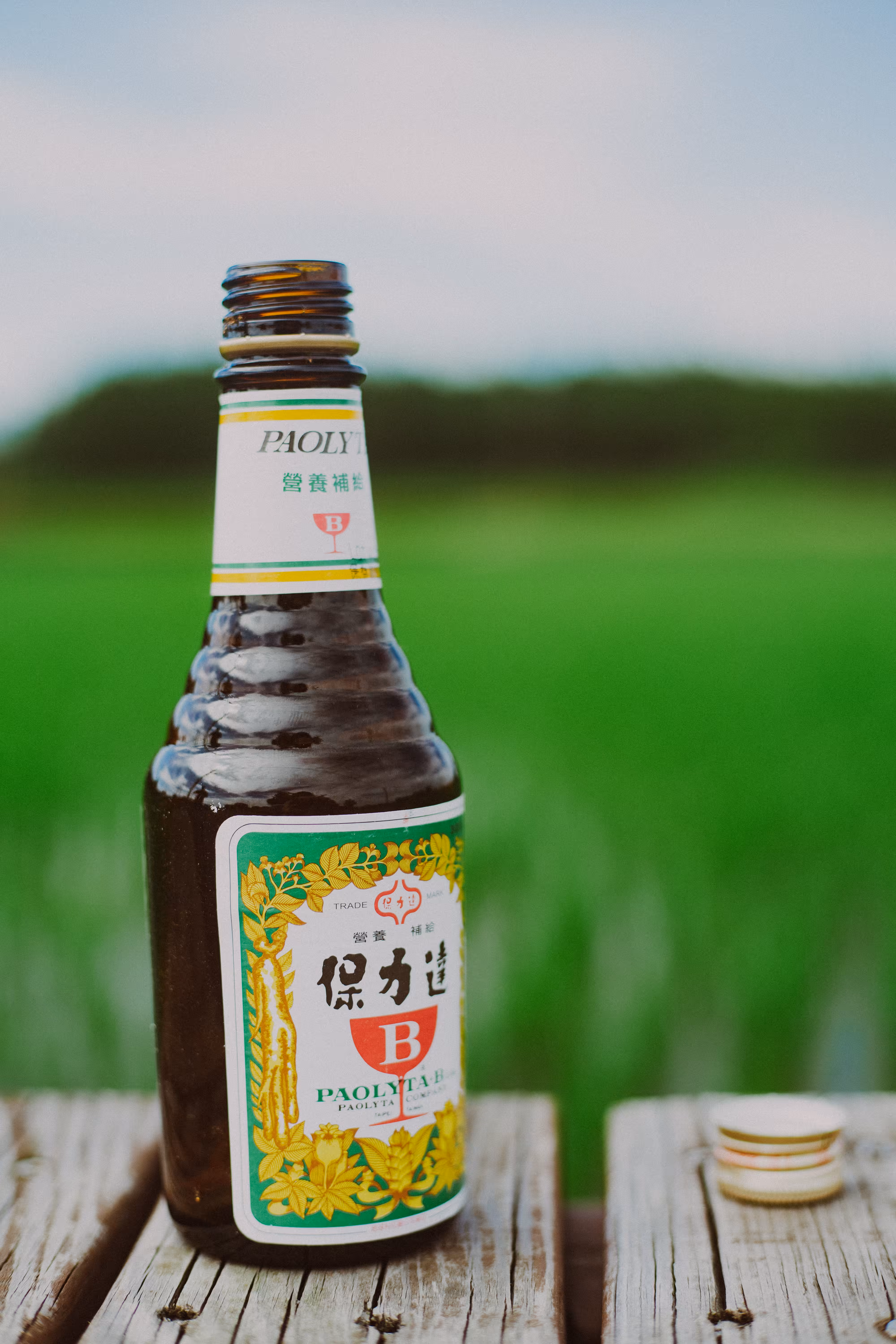 保力達B Paolyta-B