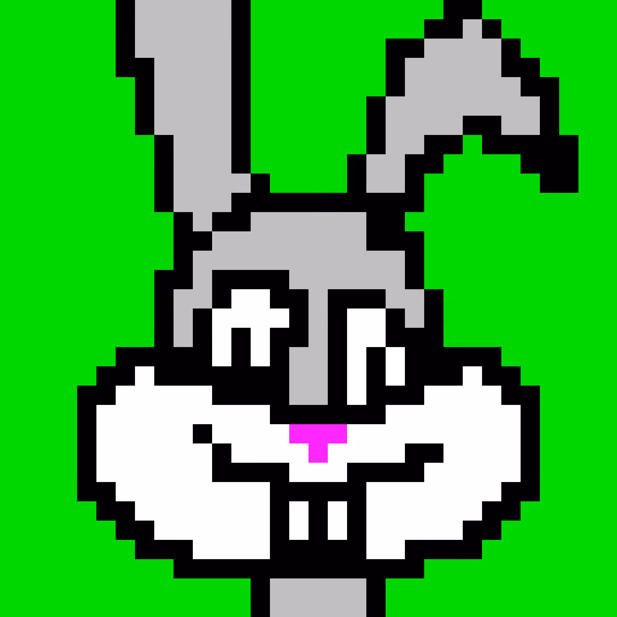 Bunny Rabbit 