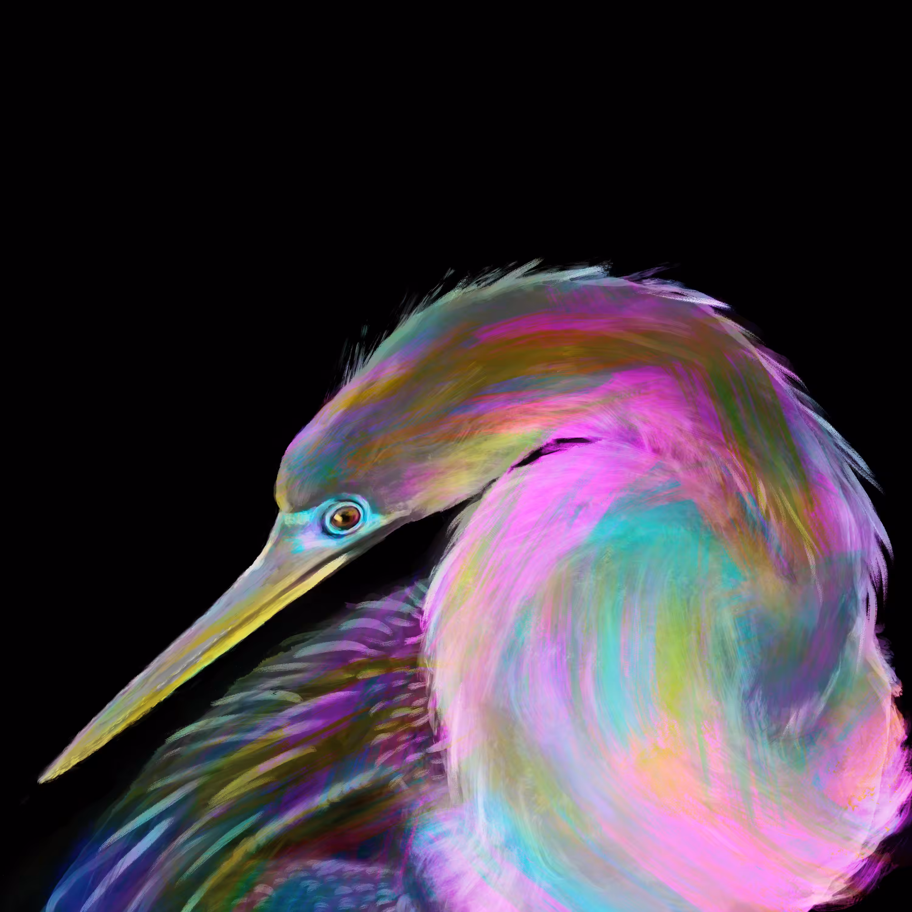 #2 Anhinga anhinga