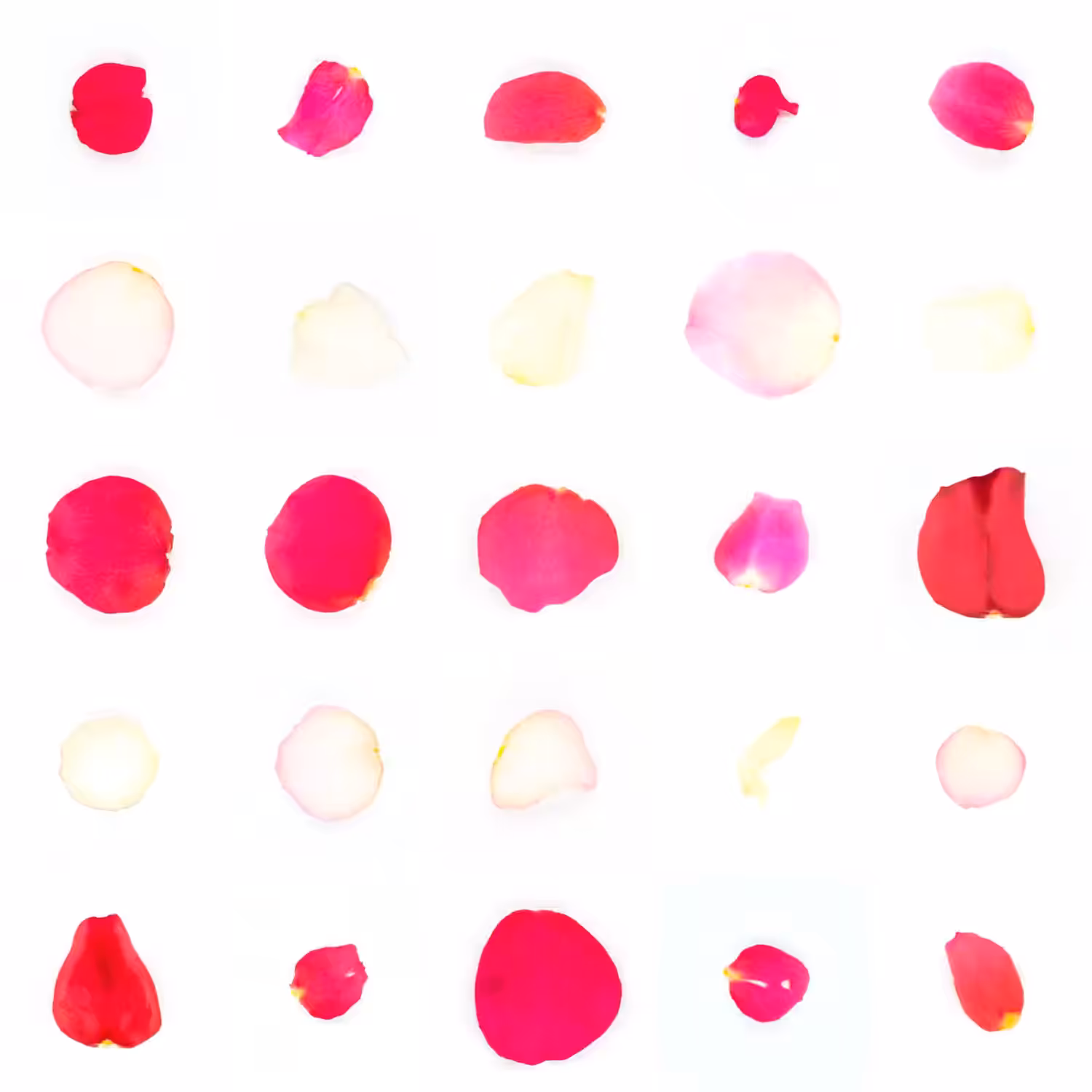 Infinite Petals 5x5#21333