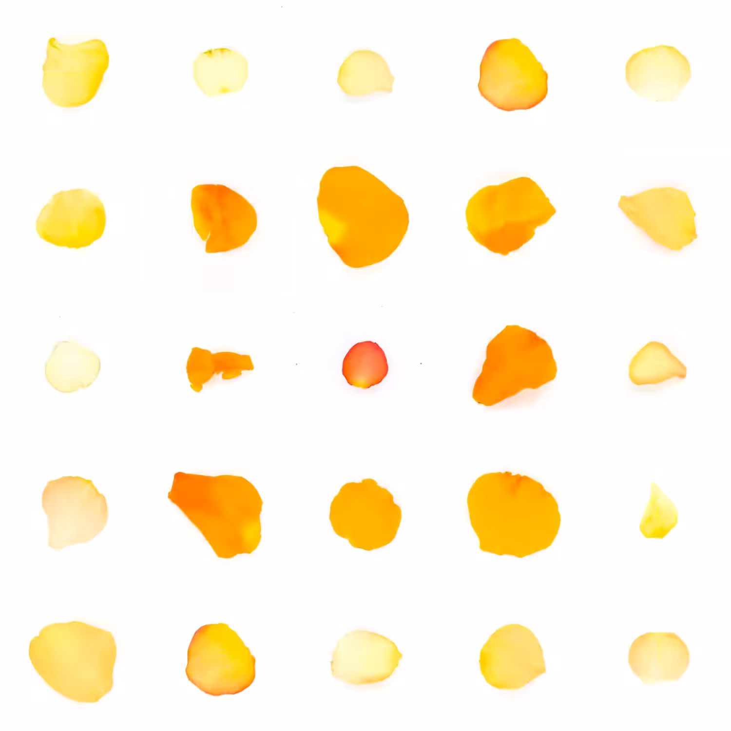 Infinite Petals 5x5#849