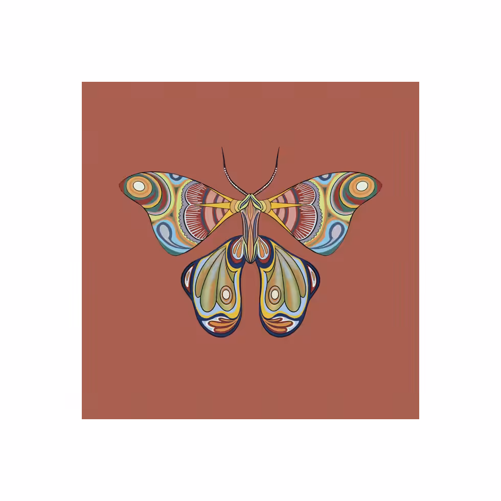 The Moth Experiment  #34
