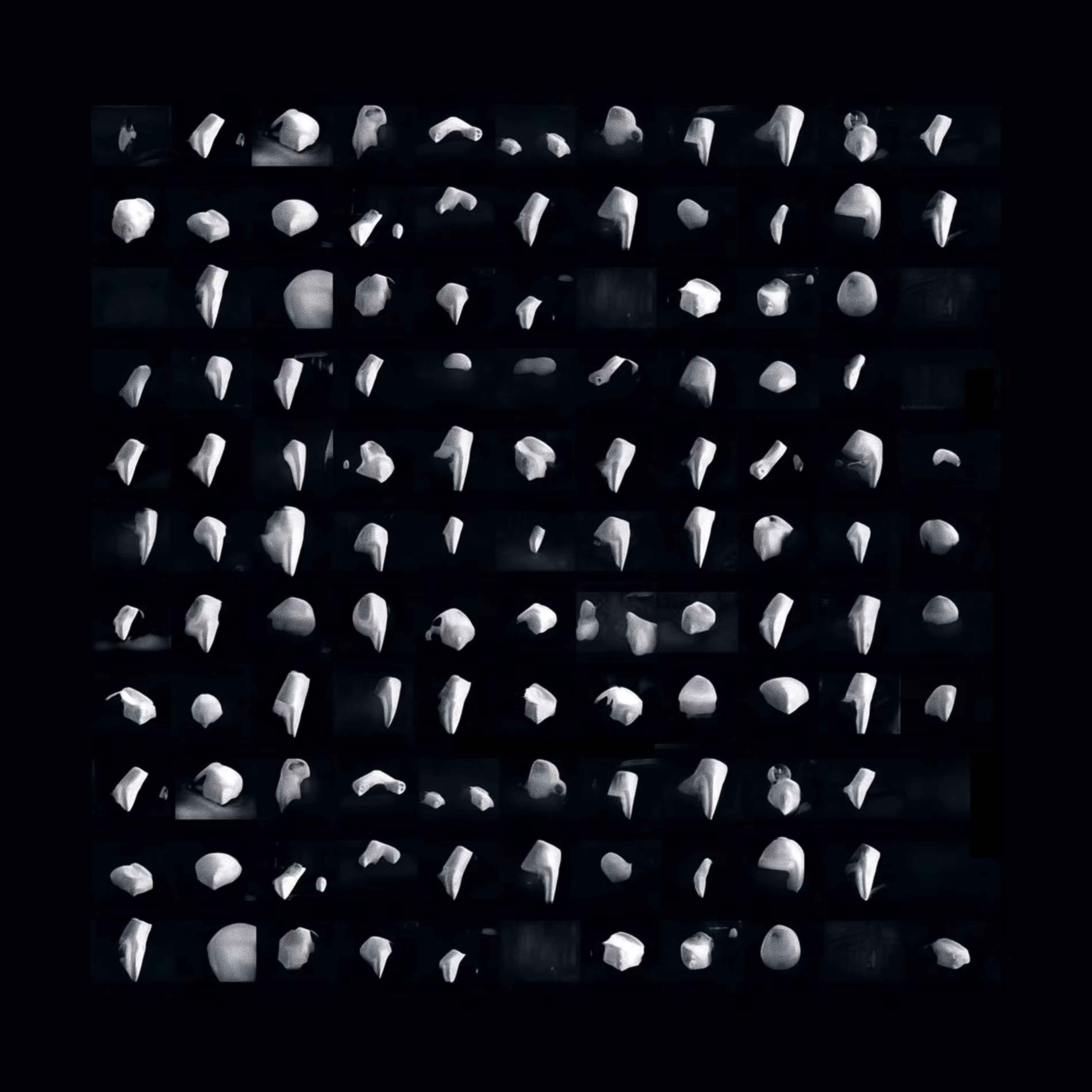 Primitive - Learning Model
