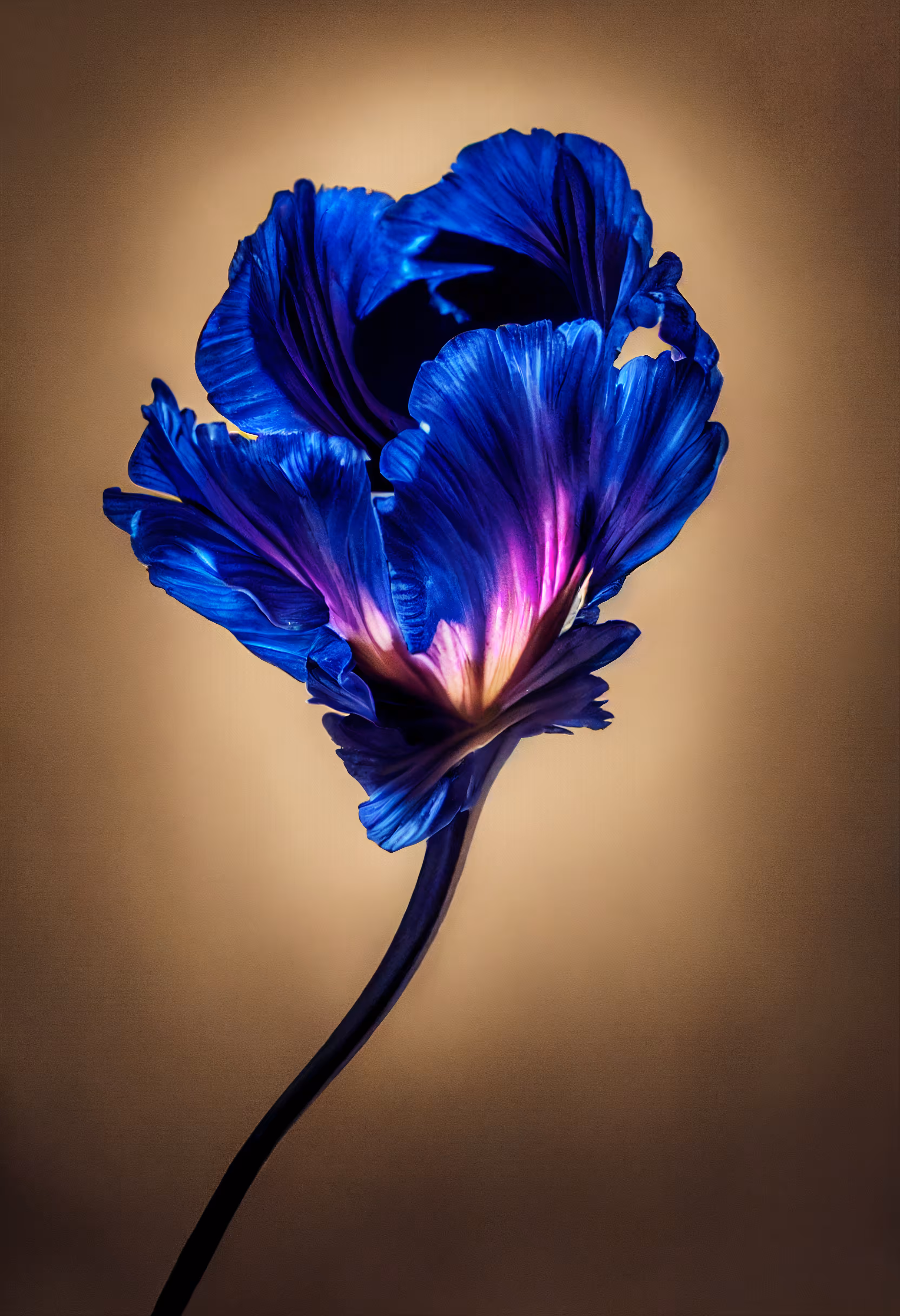 A Flower, Just For You. #84