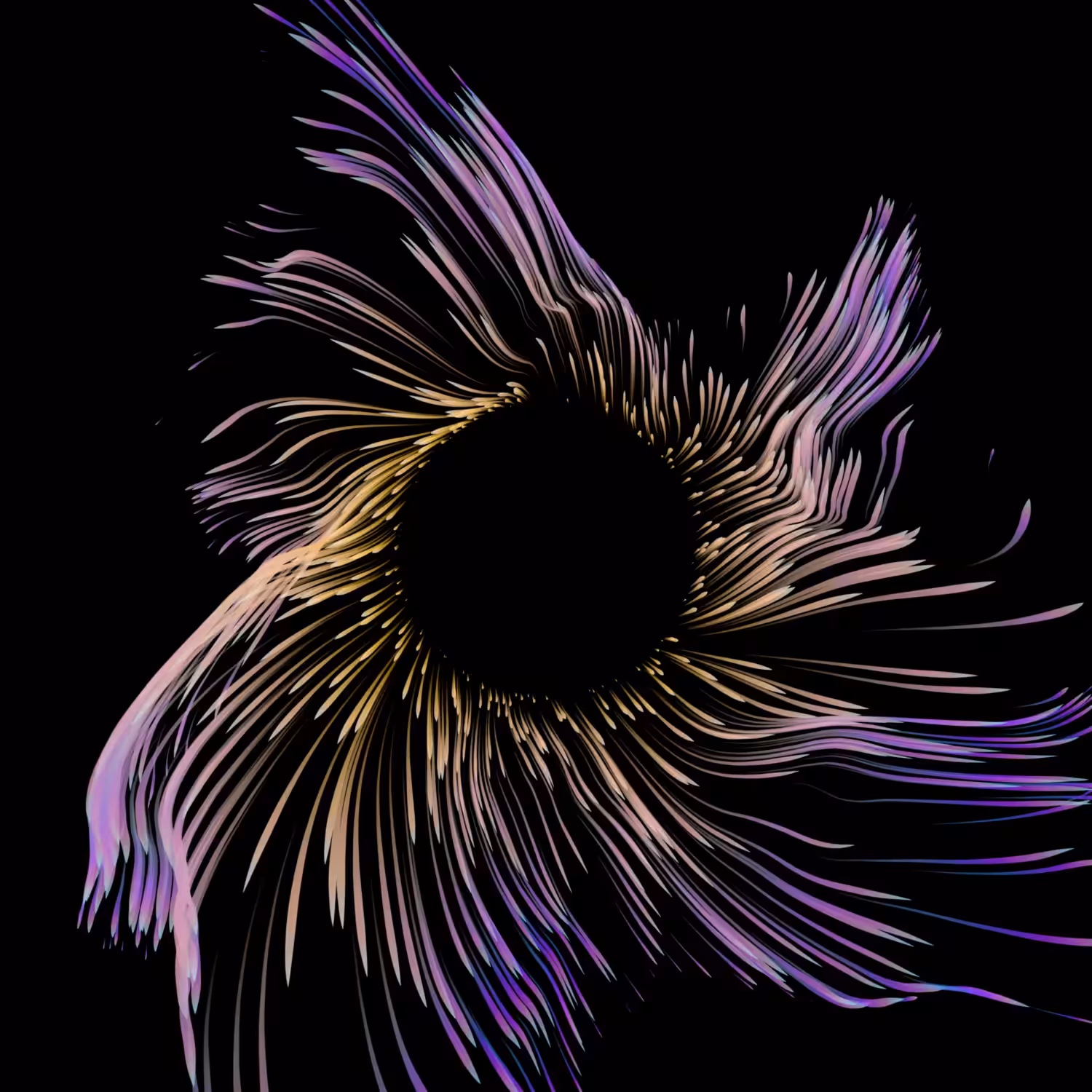 Vortex #1163