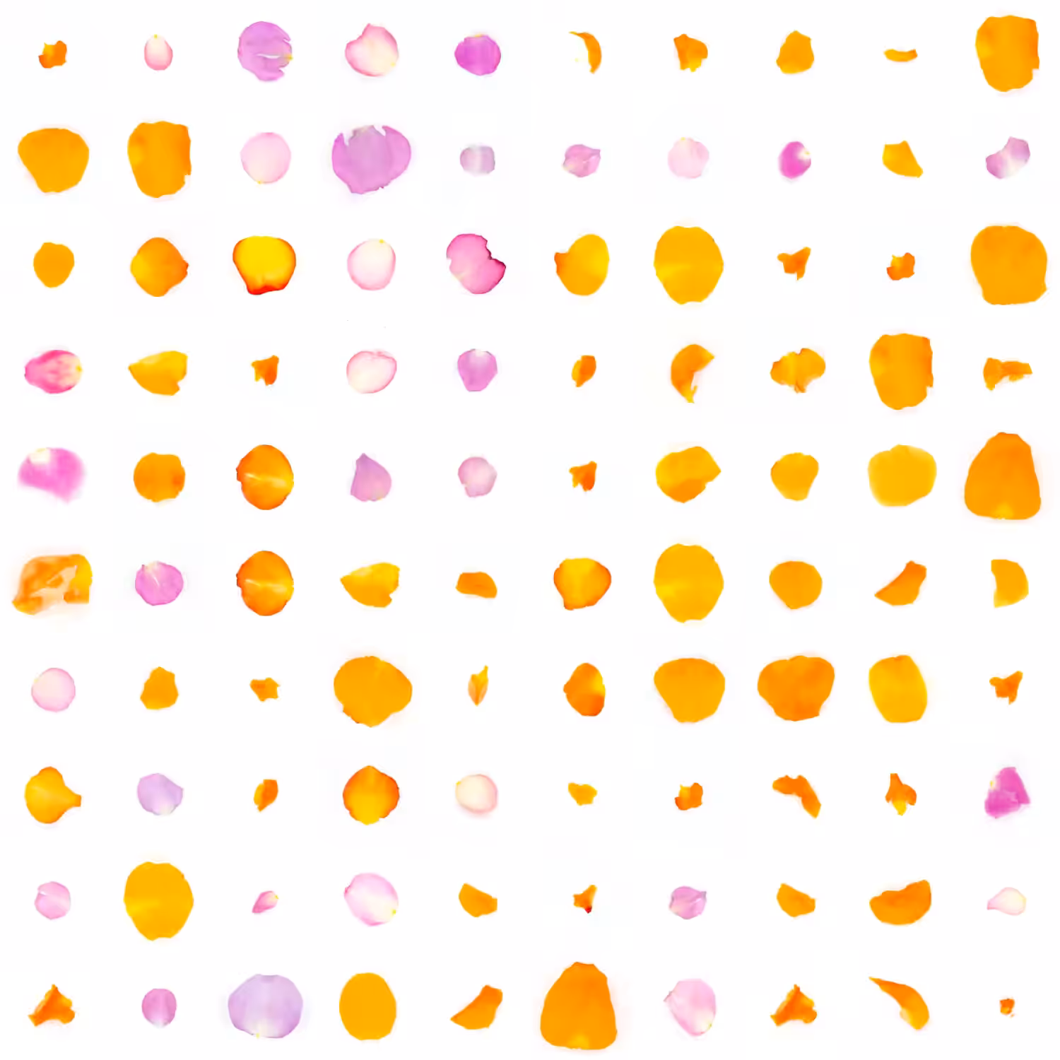 Infinite Petals 10x10#2845
