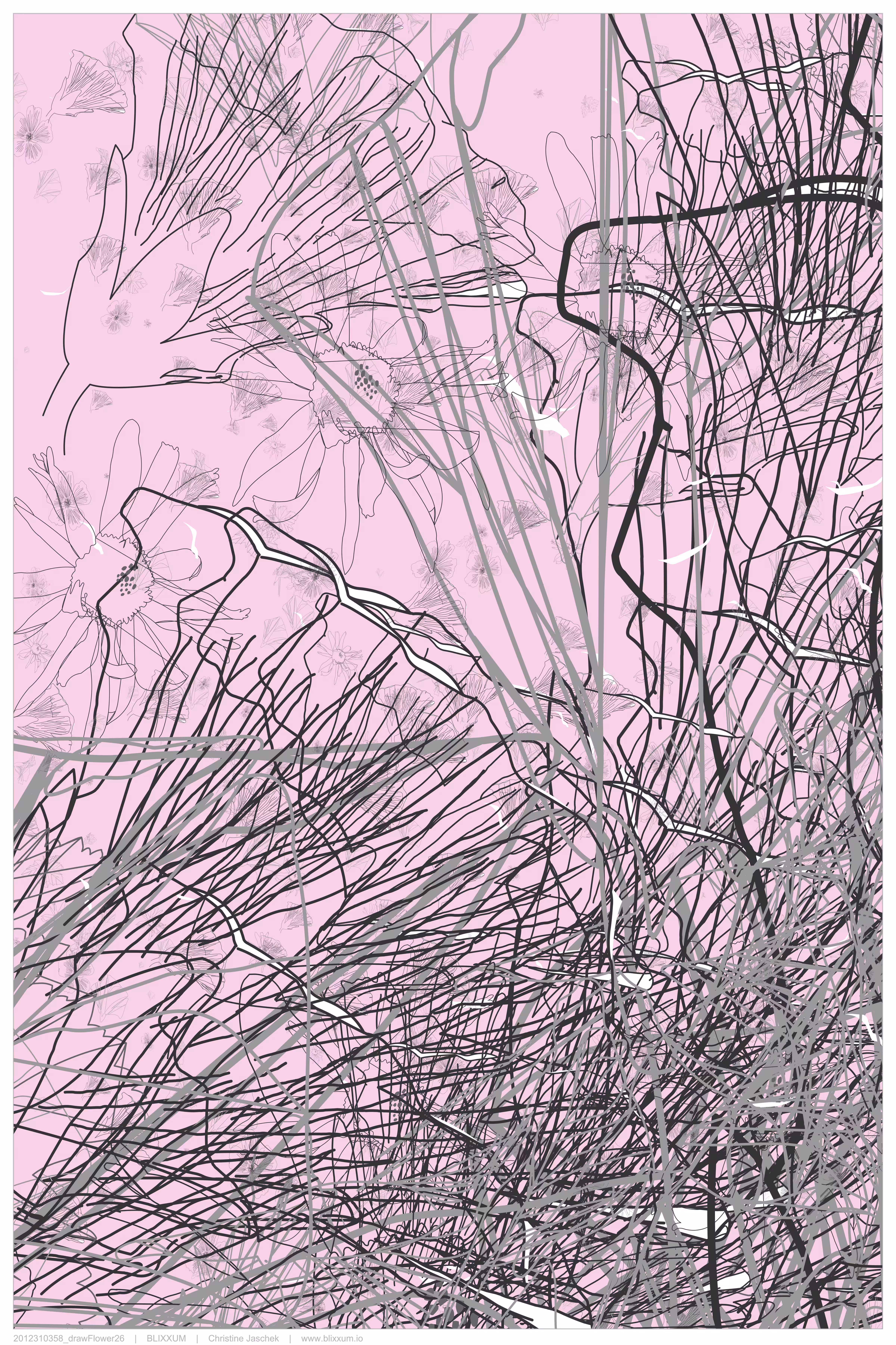drawFlower26