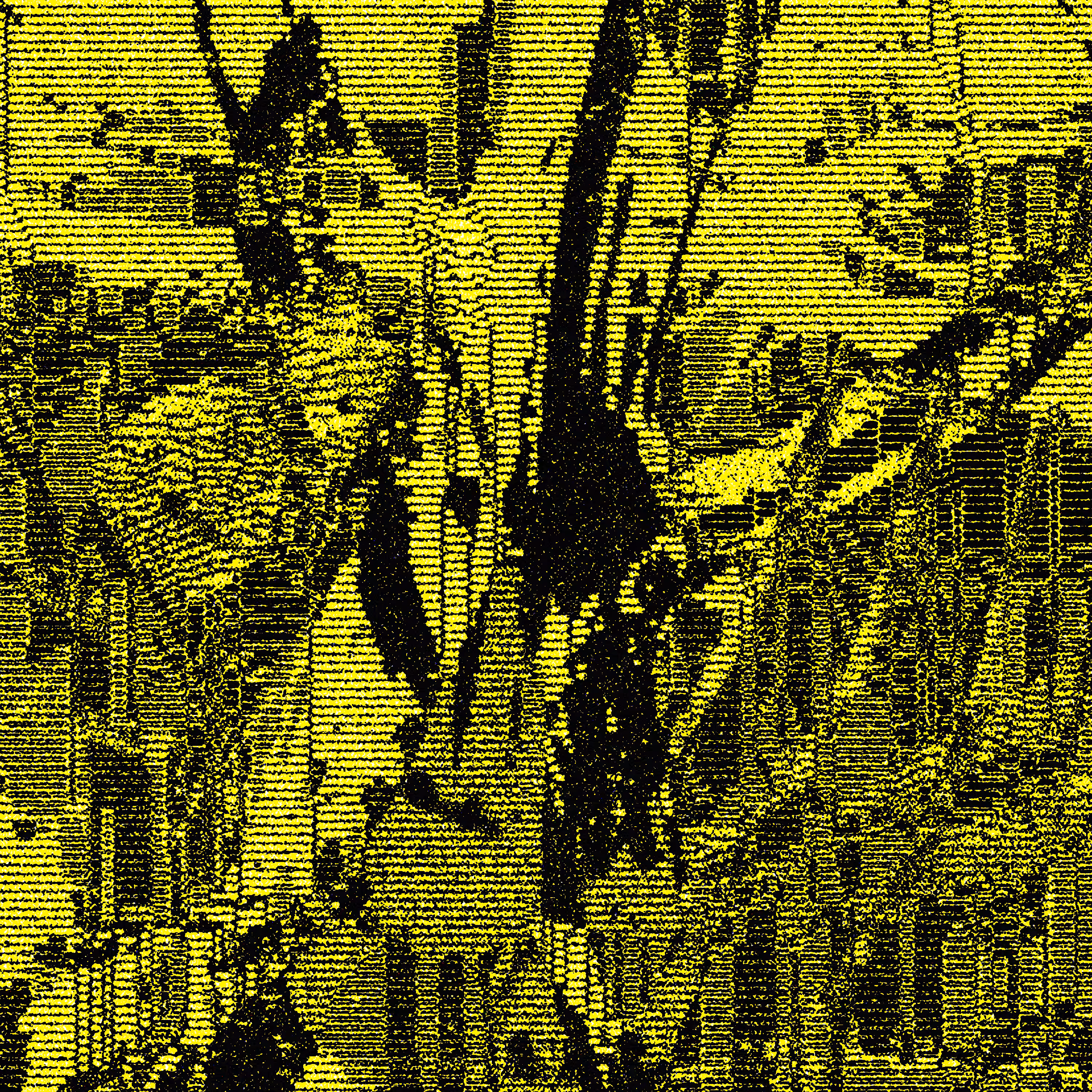 V017