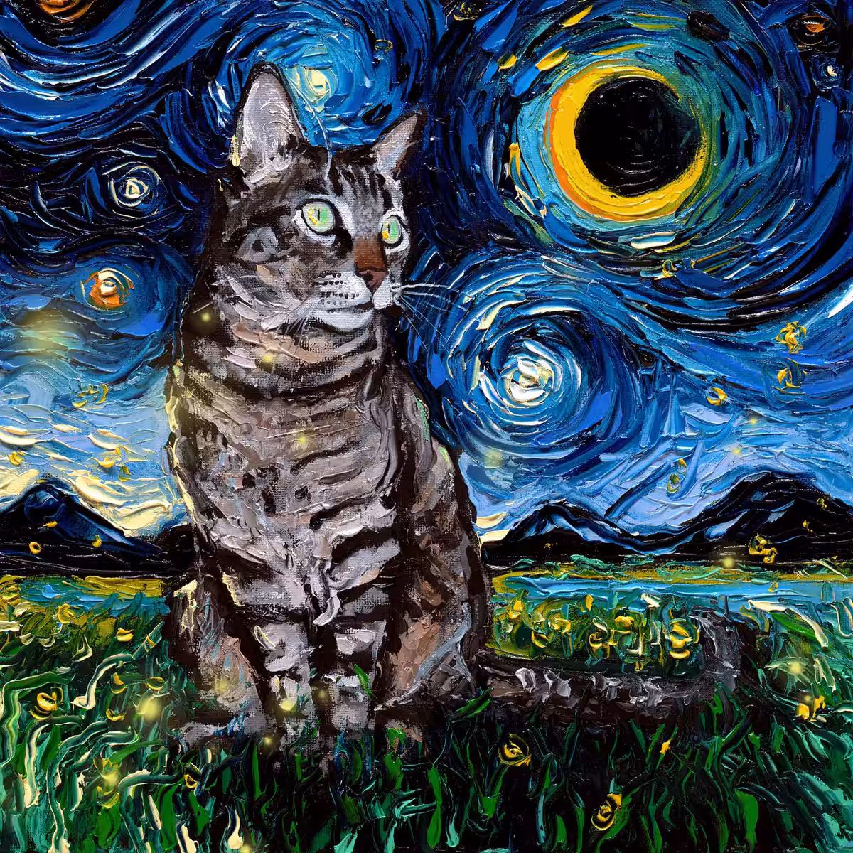 Tabby Night