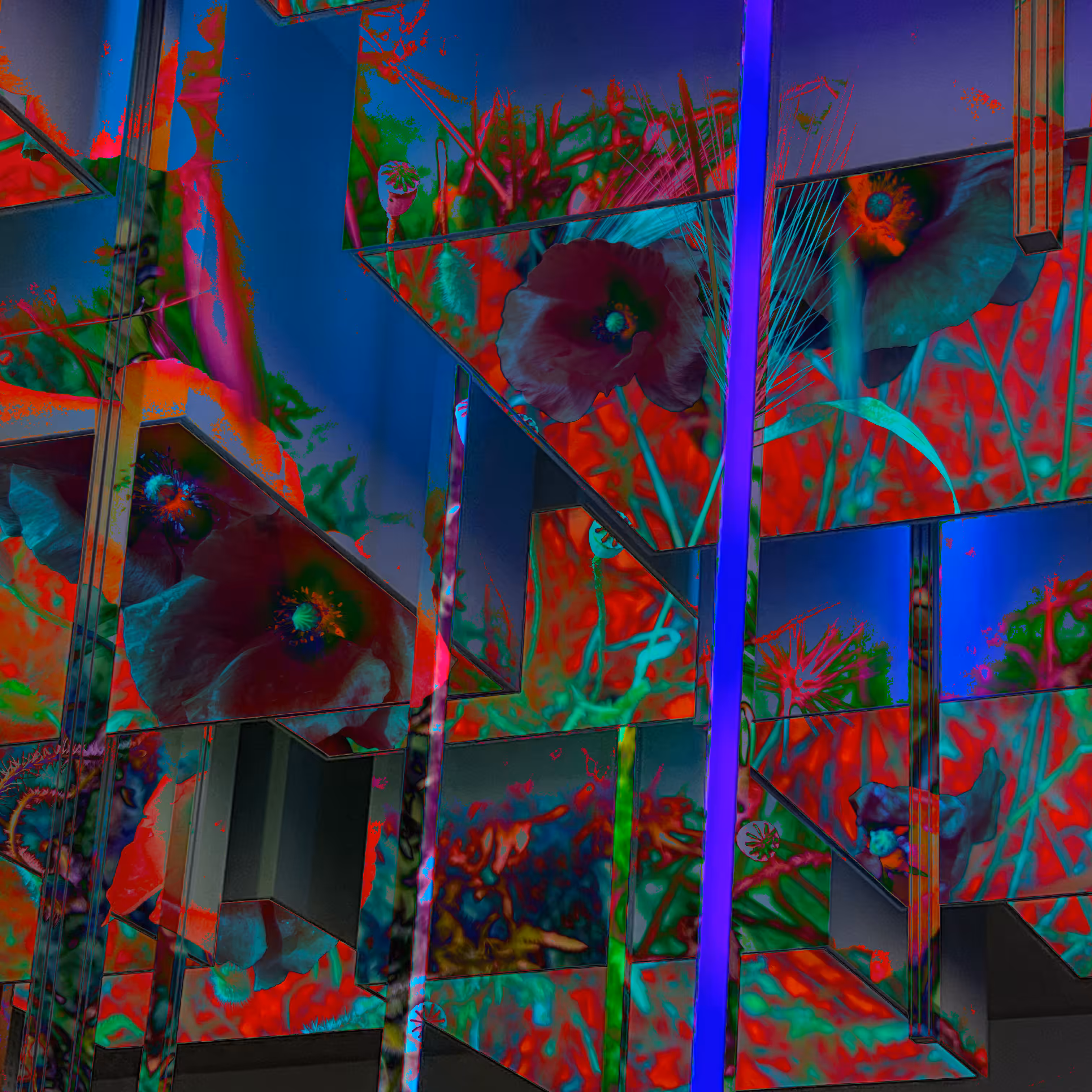 Archispora #8