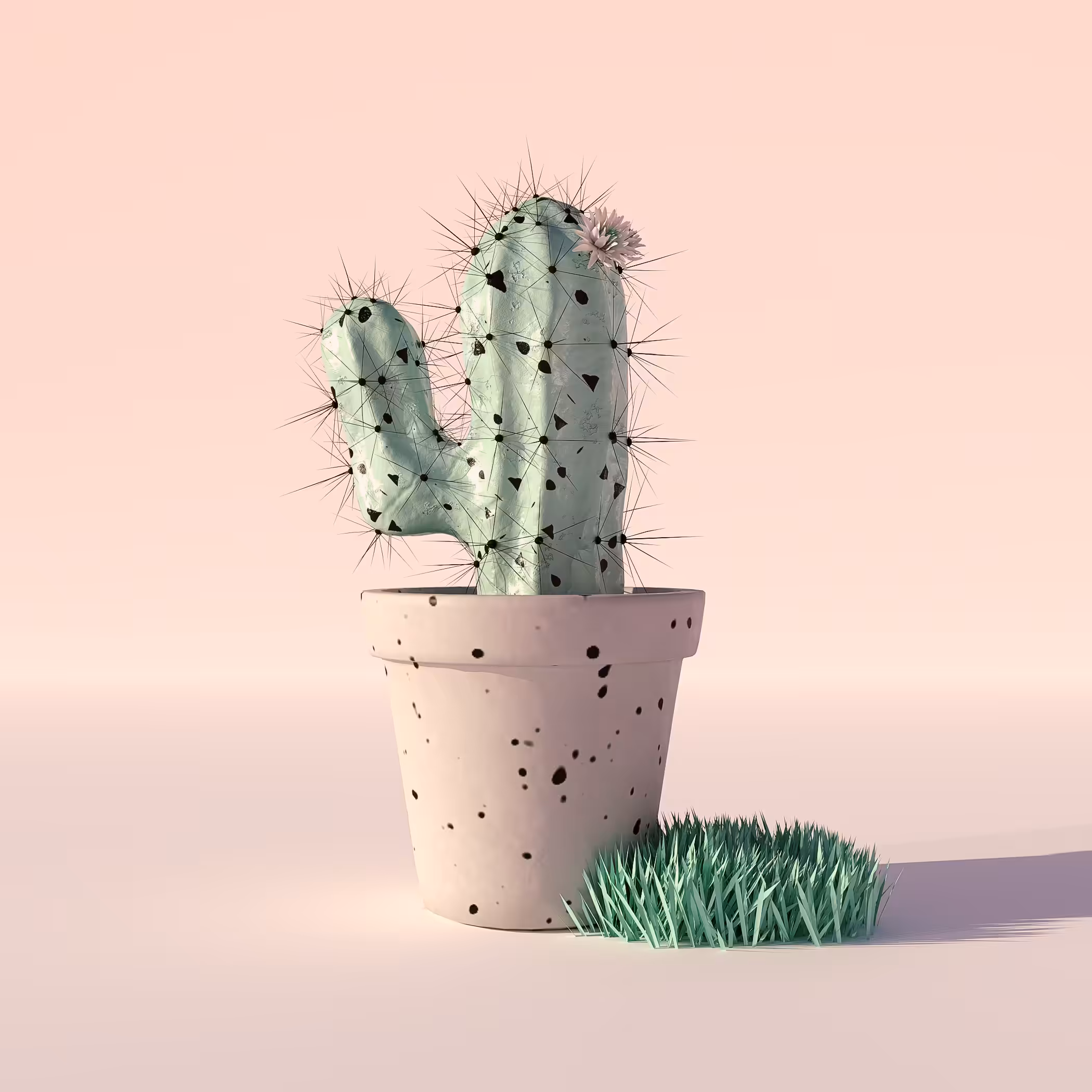 Splattered Cactus