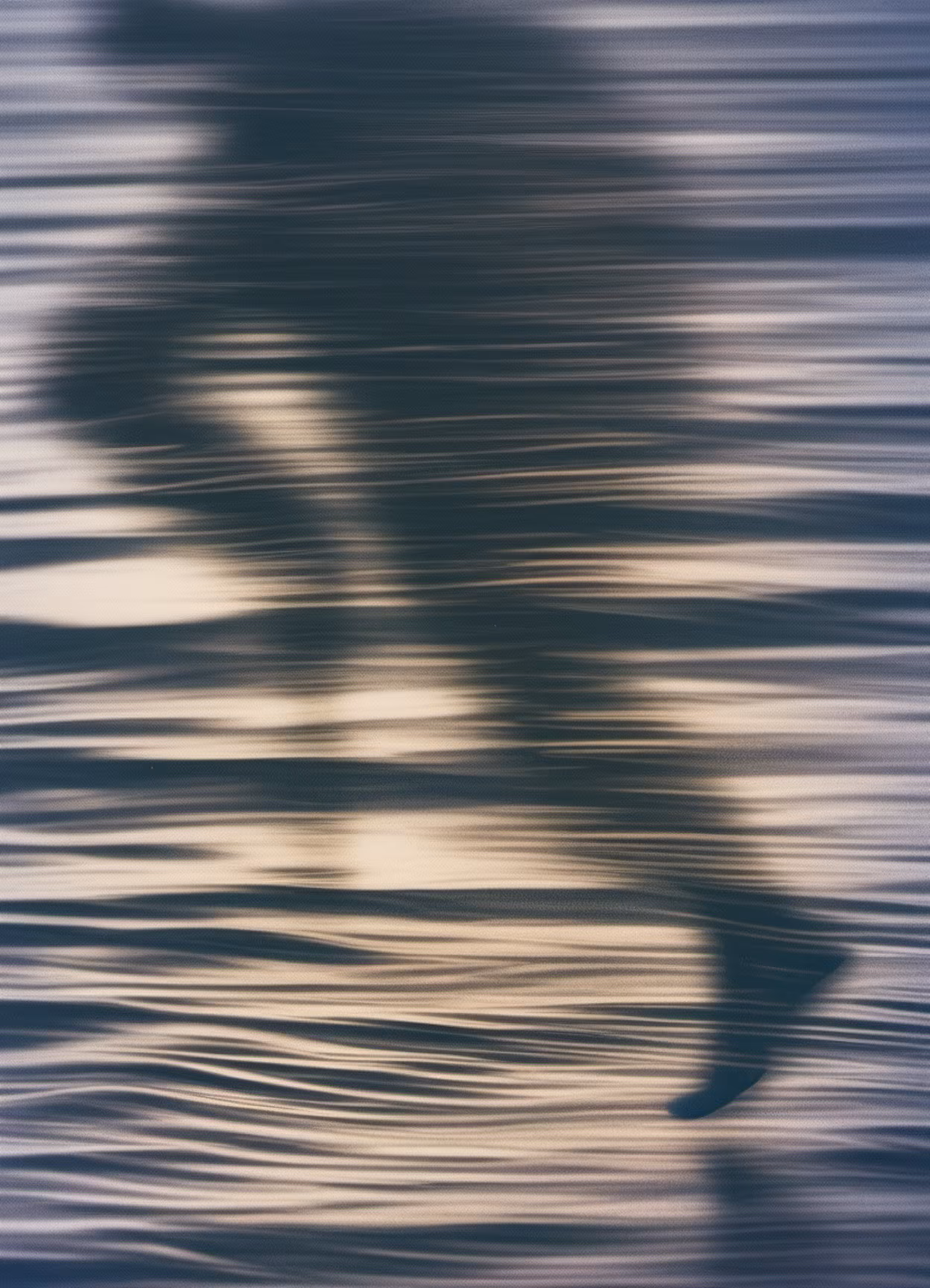 Summer Distortions #21