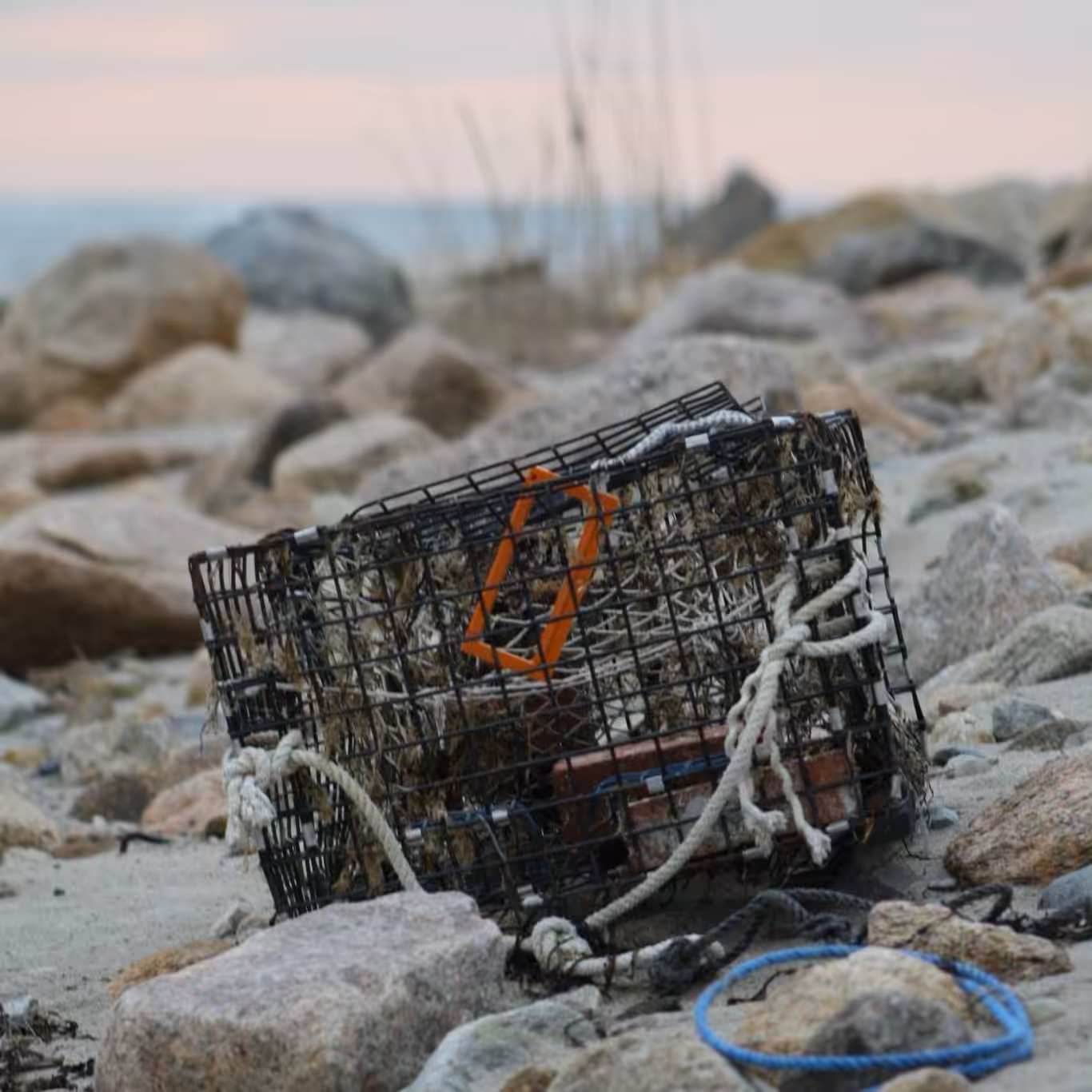 Abandoned Lobster Pot